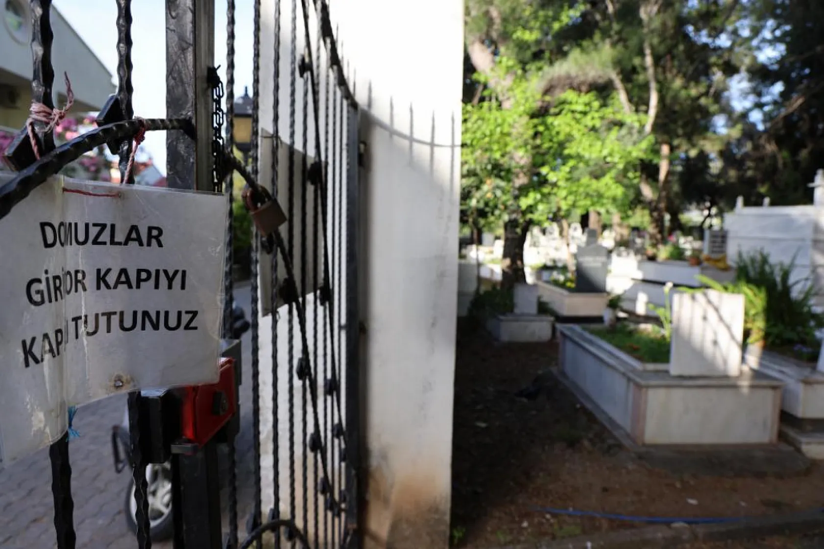 Marmaris'te vatandaşı canından bezdiren domuzlar, şimdi de mezarları tahrip etmeye başladı