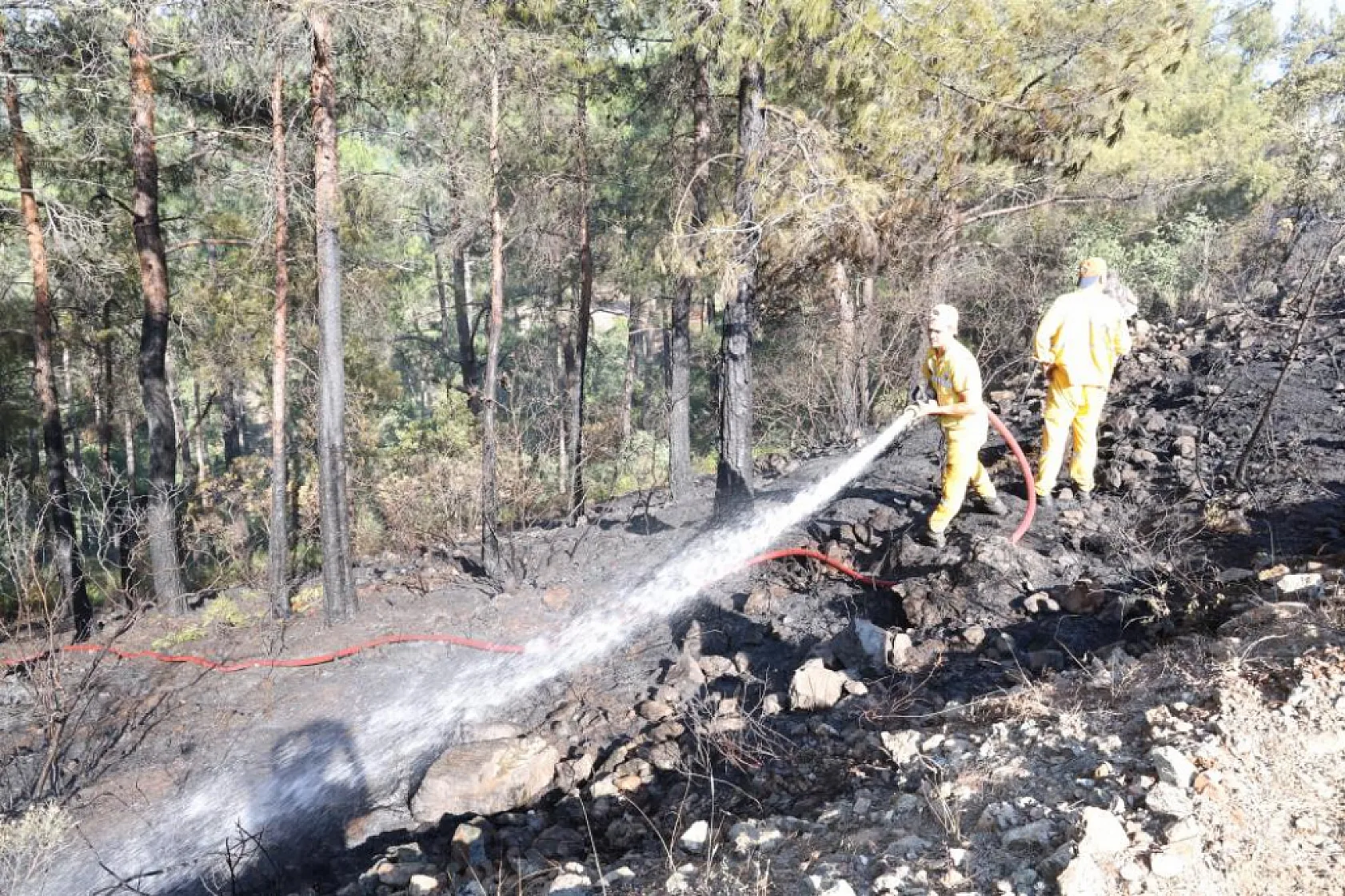 Marmaris'te ateş savaşçıları alevlere geçit vermedi