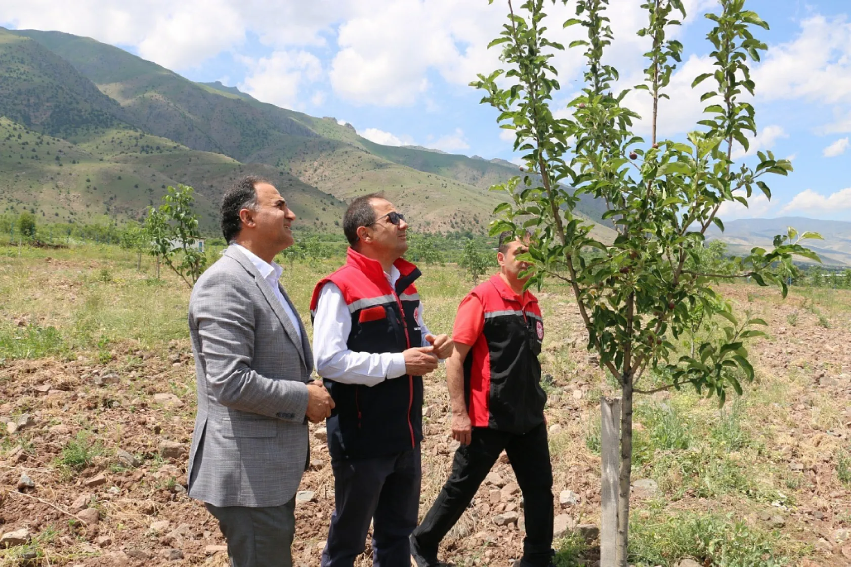 Taziye evinden dönenleri taşıyan midibüs şarampole yuvarlandı: 2 ölü, 15 yaralı