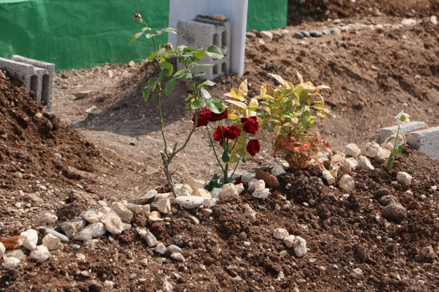 Yangında hayatını kaybeden anne ve 3 çocuğunun mezarı vatandaşlar tarafından ziyaret ediliyor