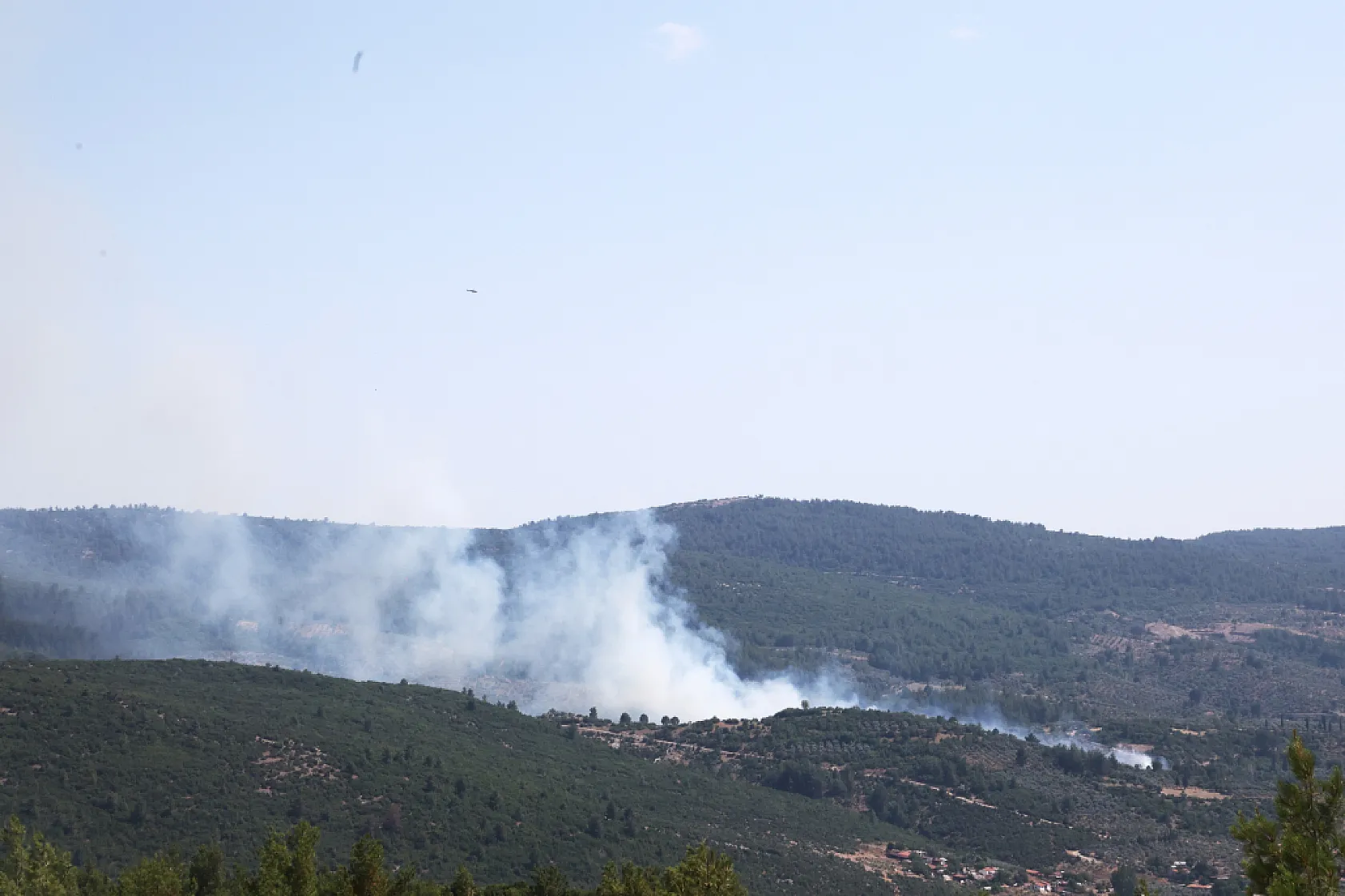 Menteşe'de çıkan yangın kontrol altına alındı