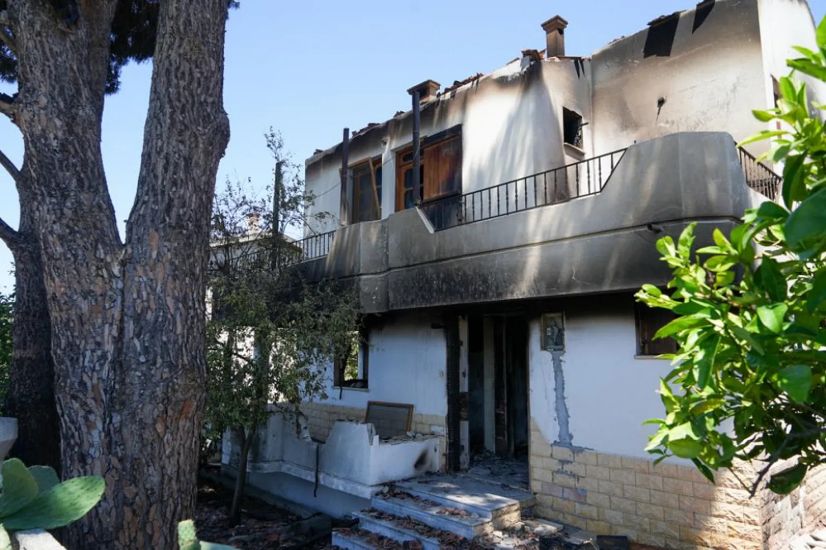 İzmir'deki Orman Yangını Geride Enkaz ve Gözyaşı Bıraktı