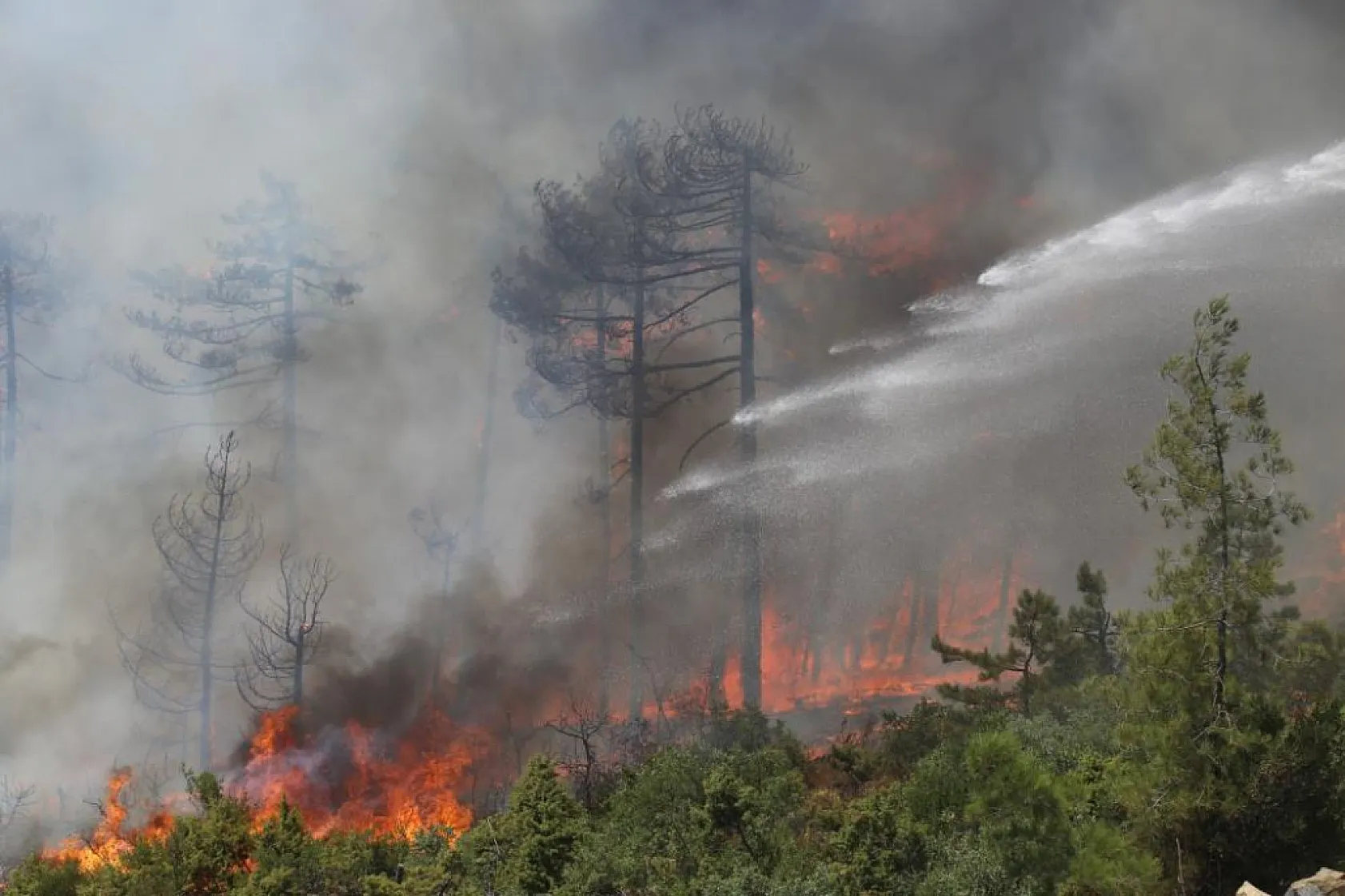 Bursa'da alevler tekrar yükseldi