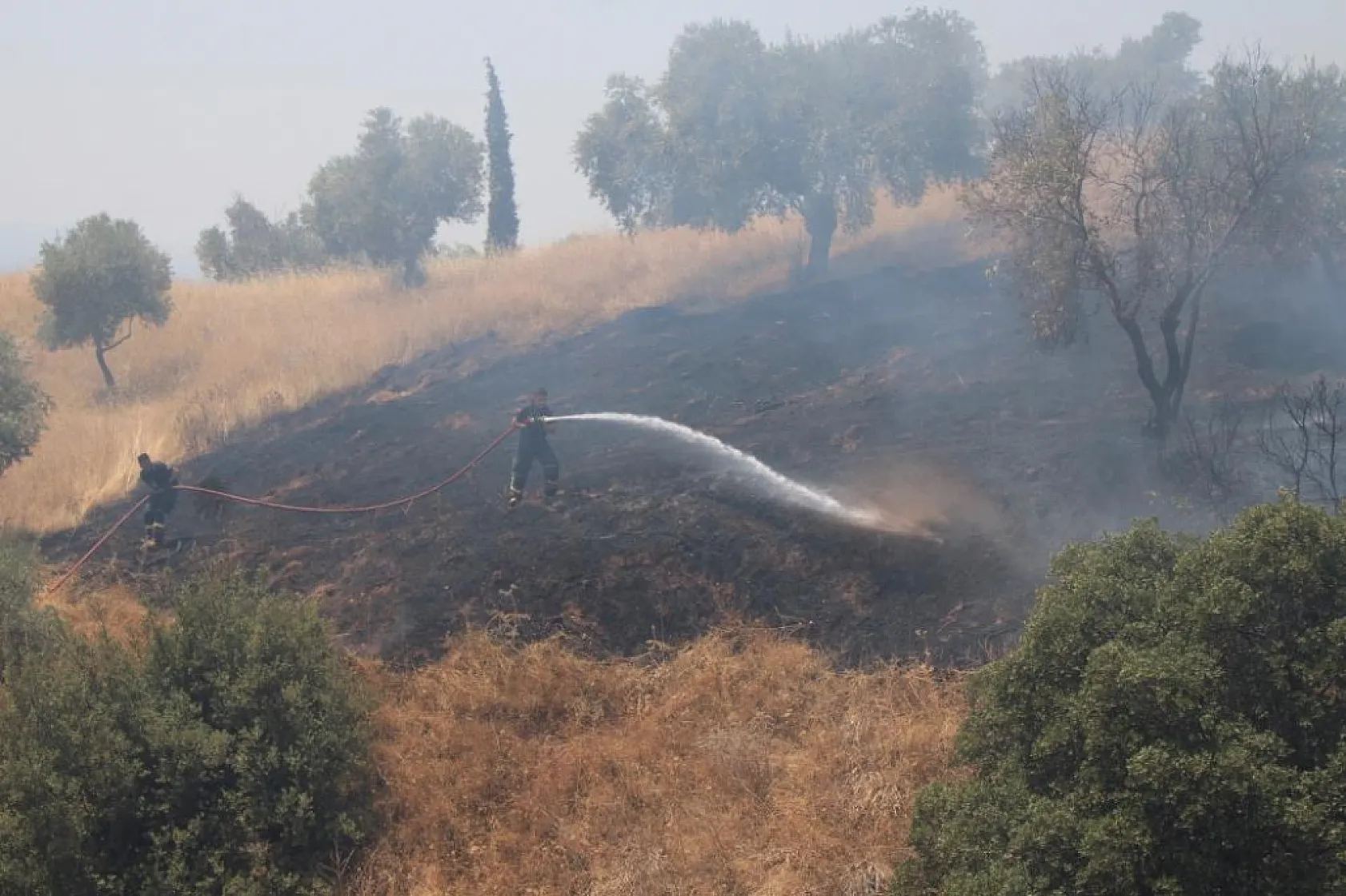 Havaya ateş açan şahıslar yangına sebep oldu