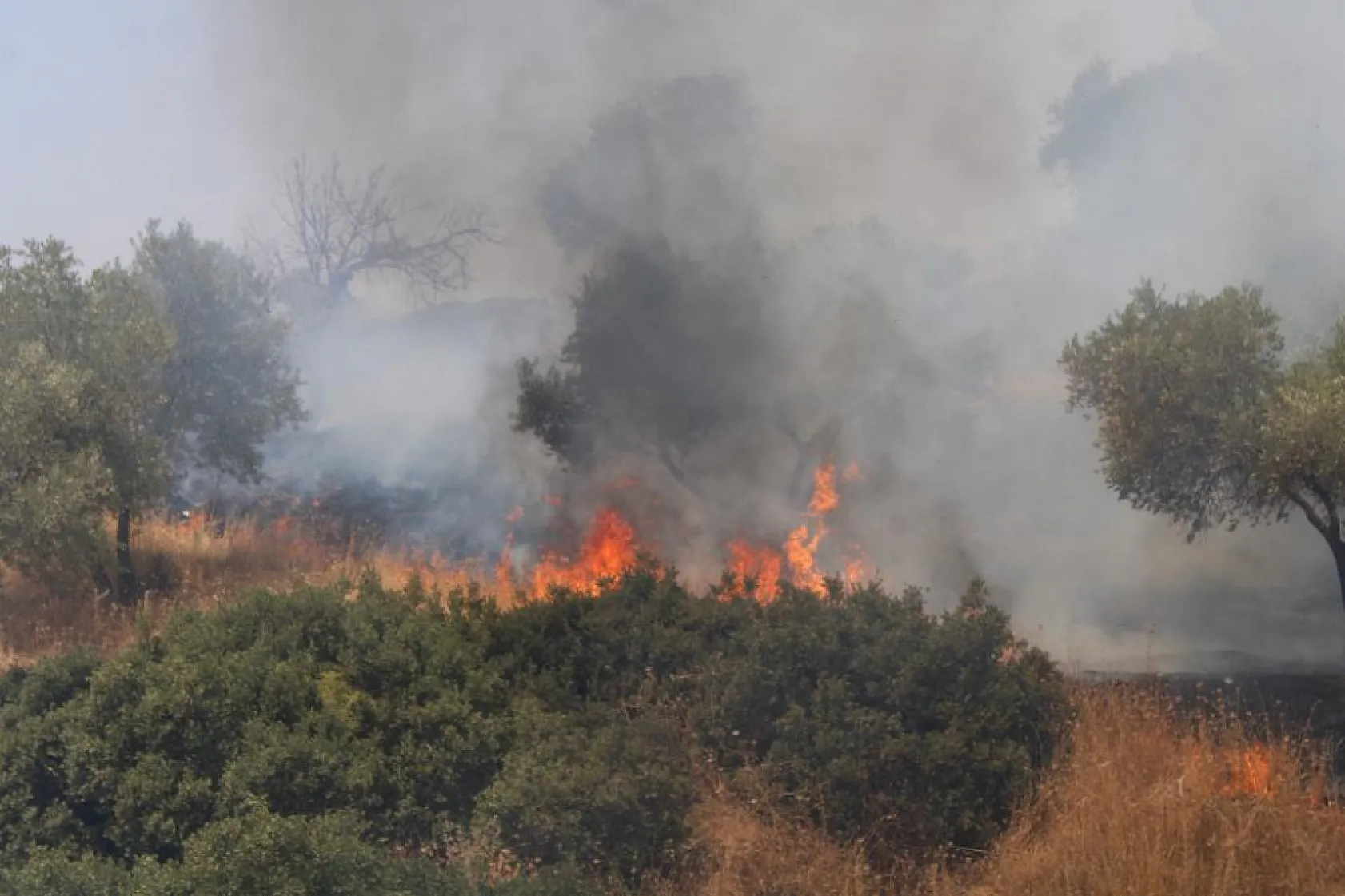 Havaya ateş açan şahıslar yangına sebep oldu