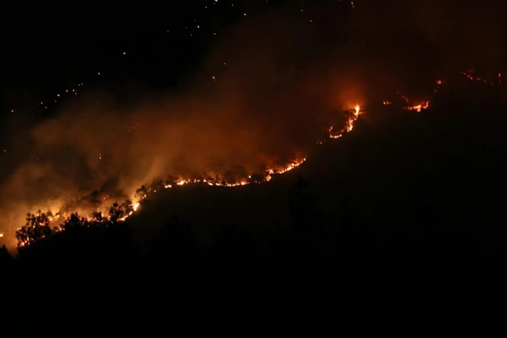 Denizli'de orman yangınına gece karadan müdahale sürüyor