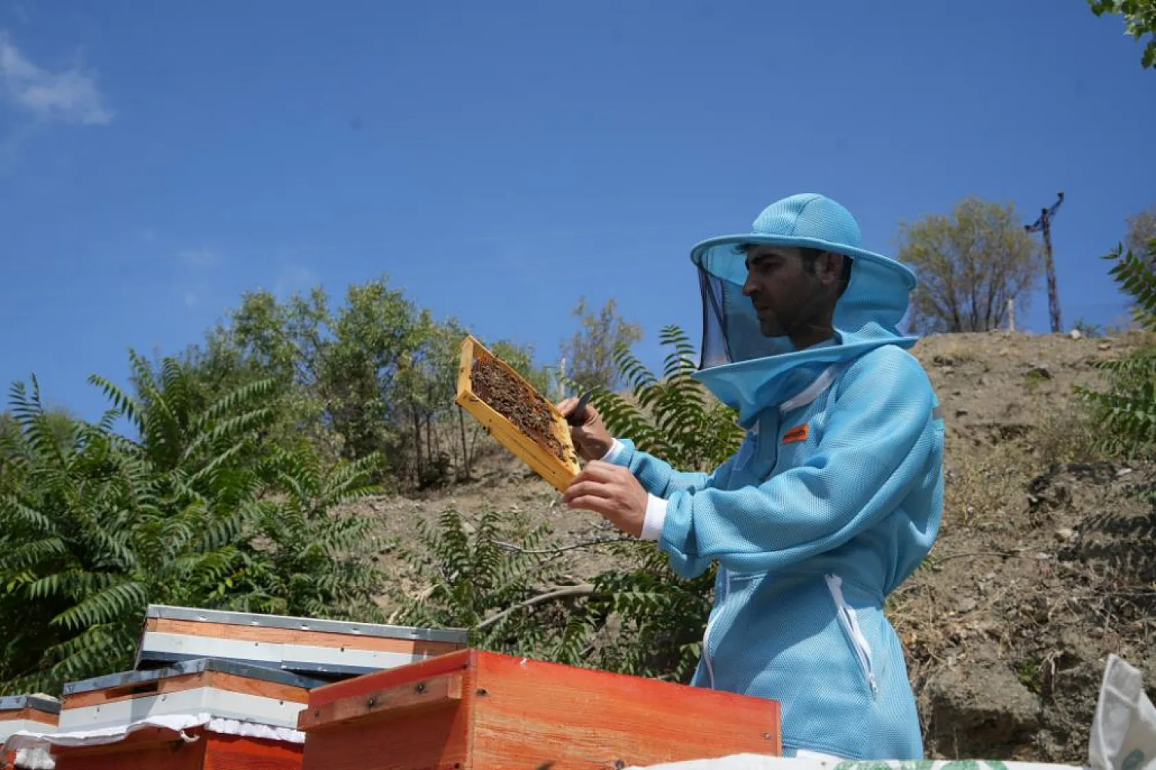 Genç Arıcı Yılda 2 Ton Bal Üretiyor