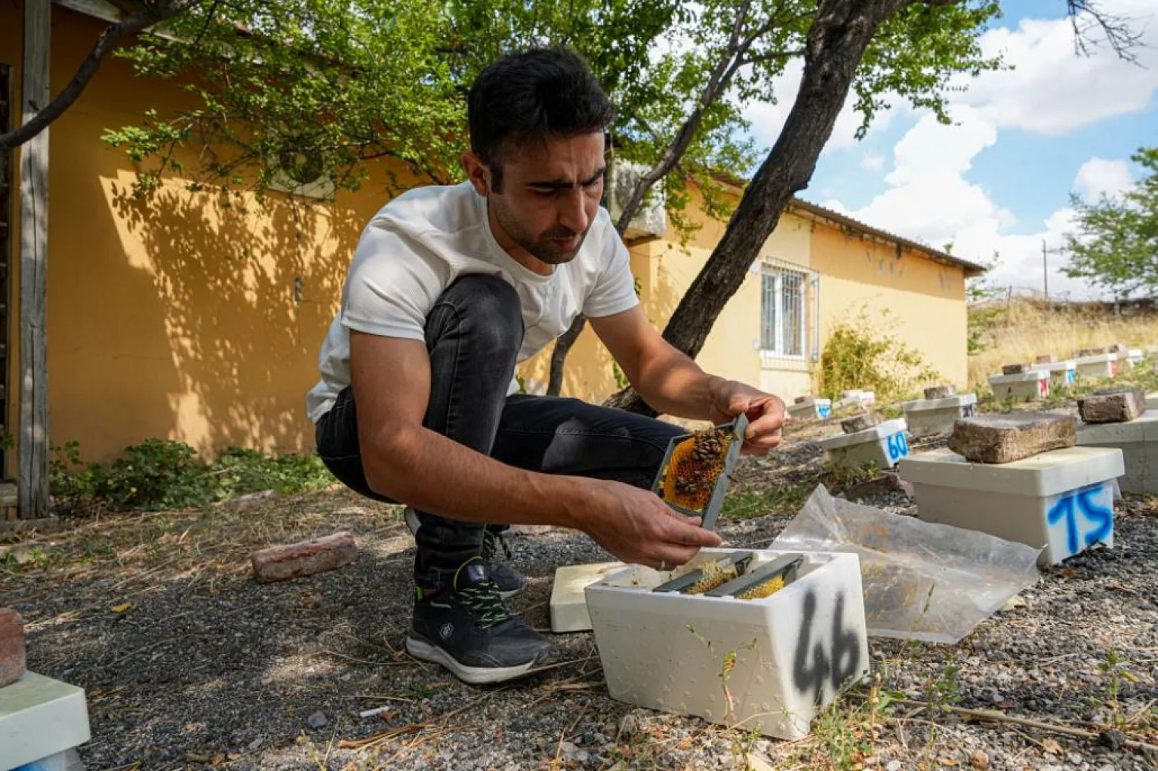 Genç Arıcı Yılda 2 Ton Bal Üretiyor