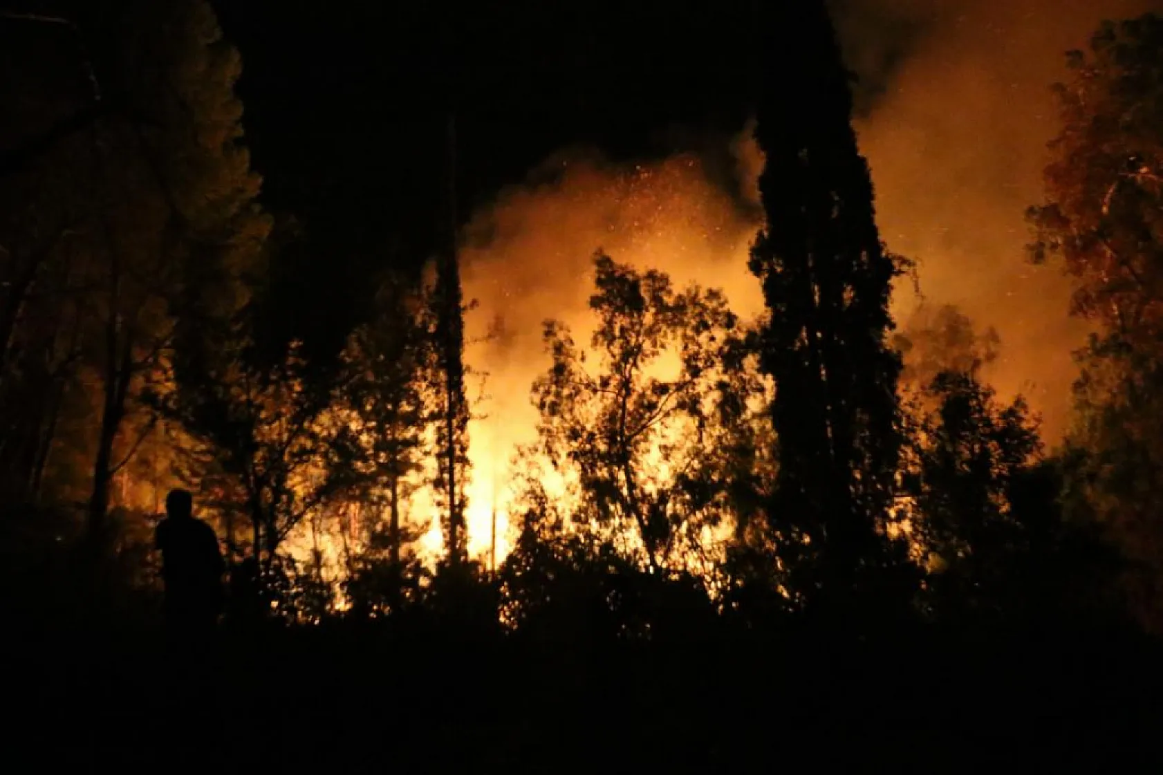 Antalya'da ormanlık alanda büyük yangın