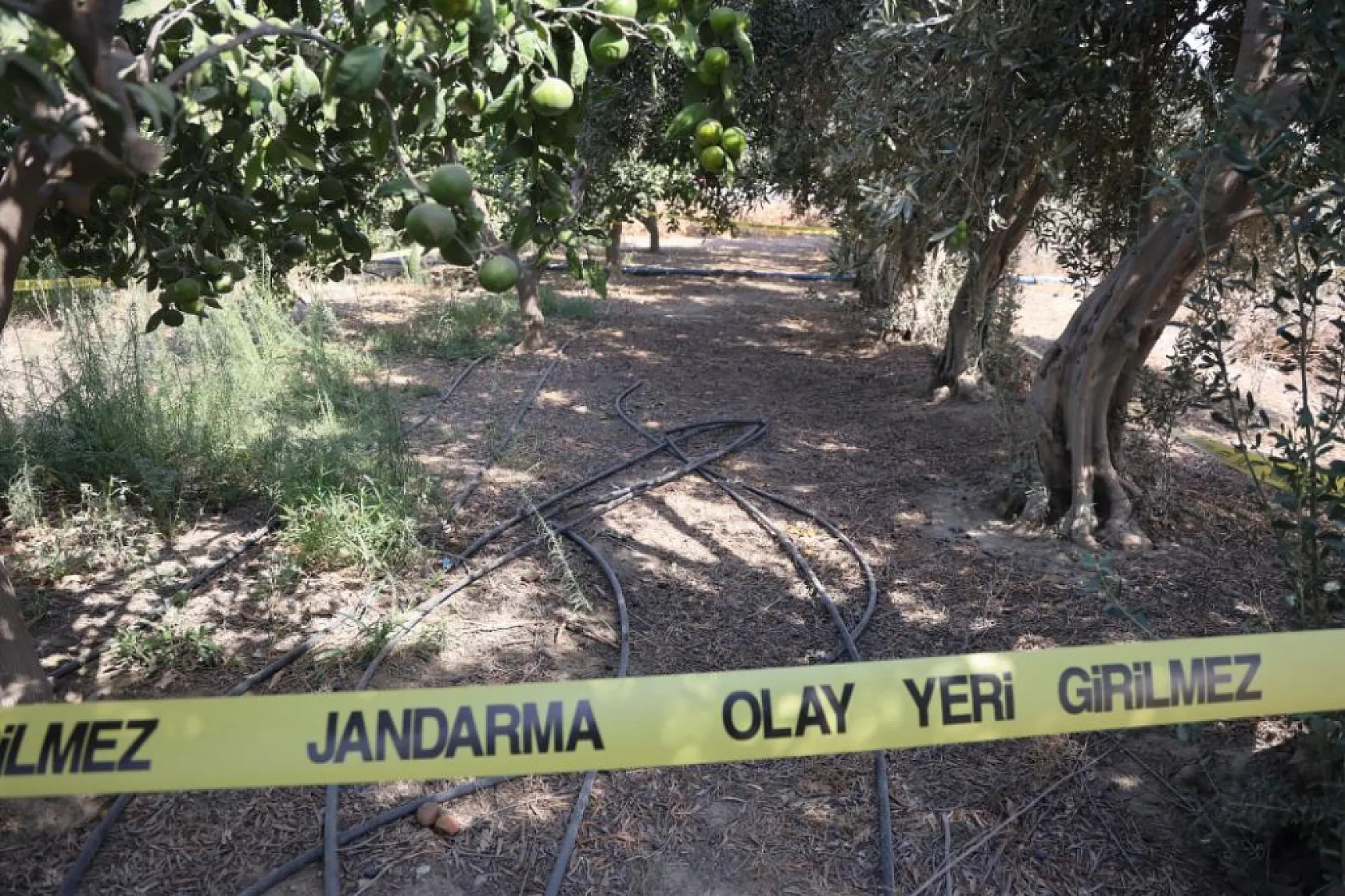 Para için arkadaşını narenciye bahçesinde satırla doğrayan şahıs yakalandı