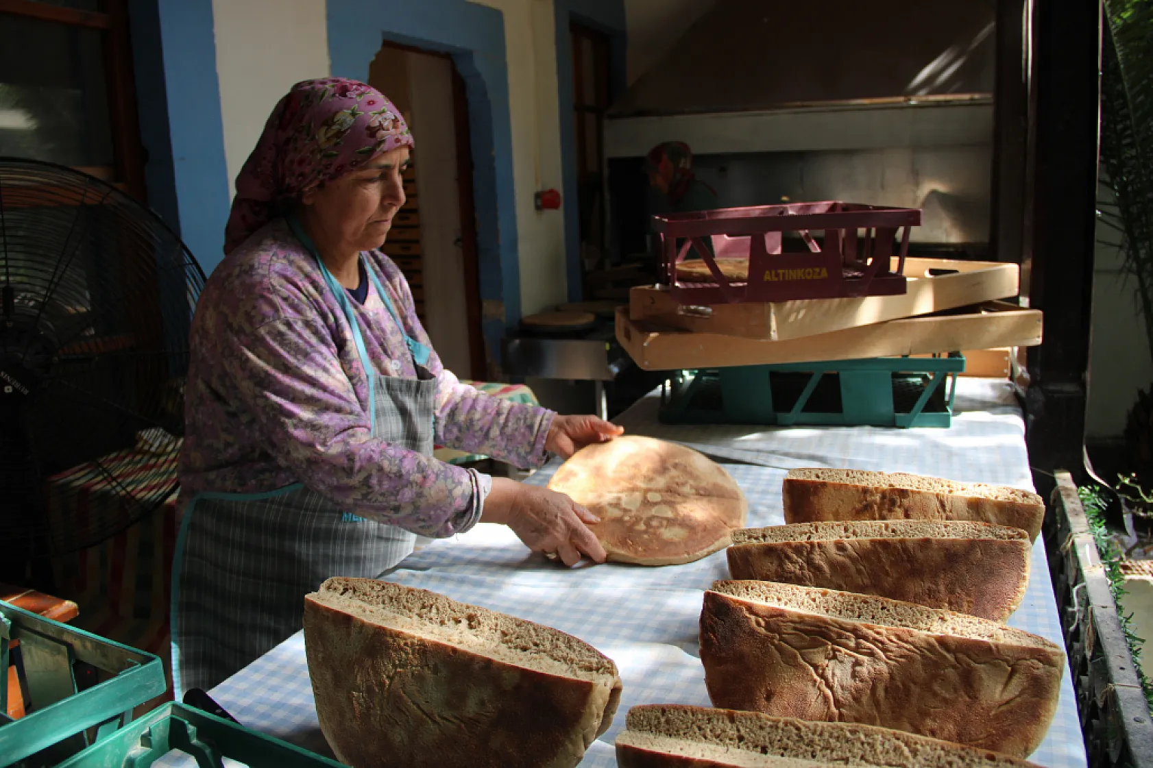 Gastro Muğla'da organik üretim ve eğitim için yeni adım