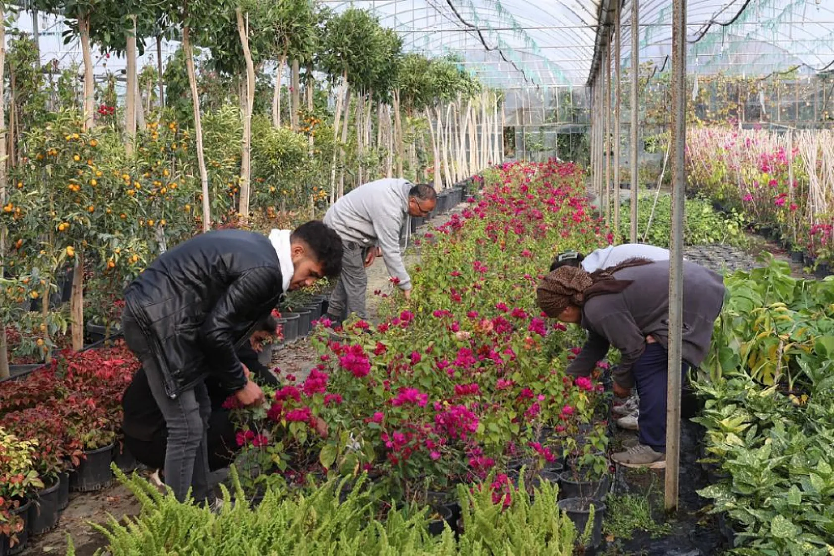Muğla Büyükşehir'den yerel kalkınmaya katkı