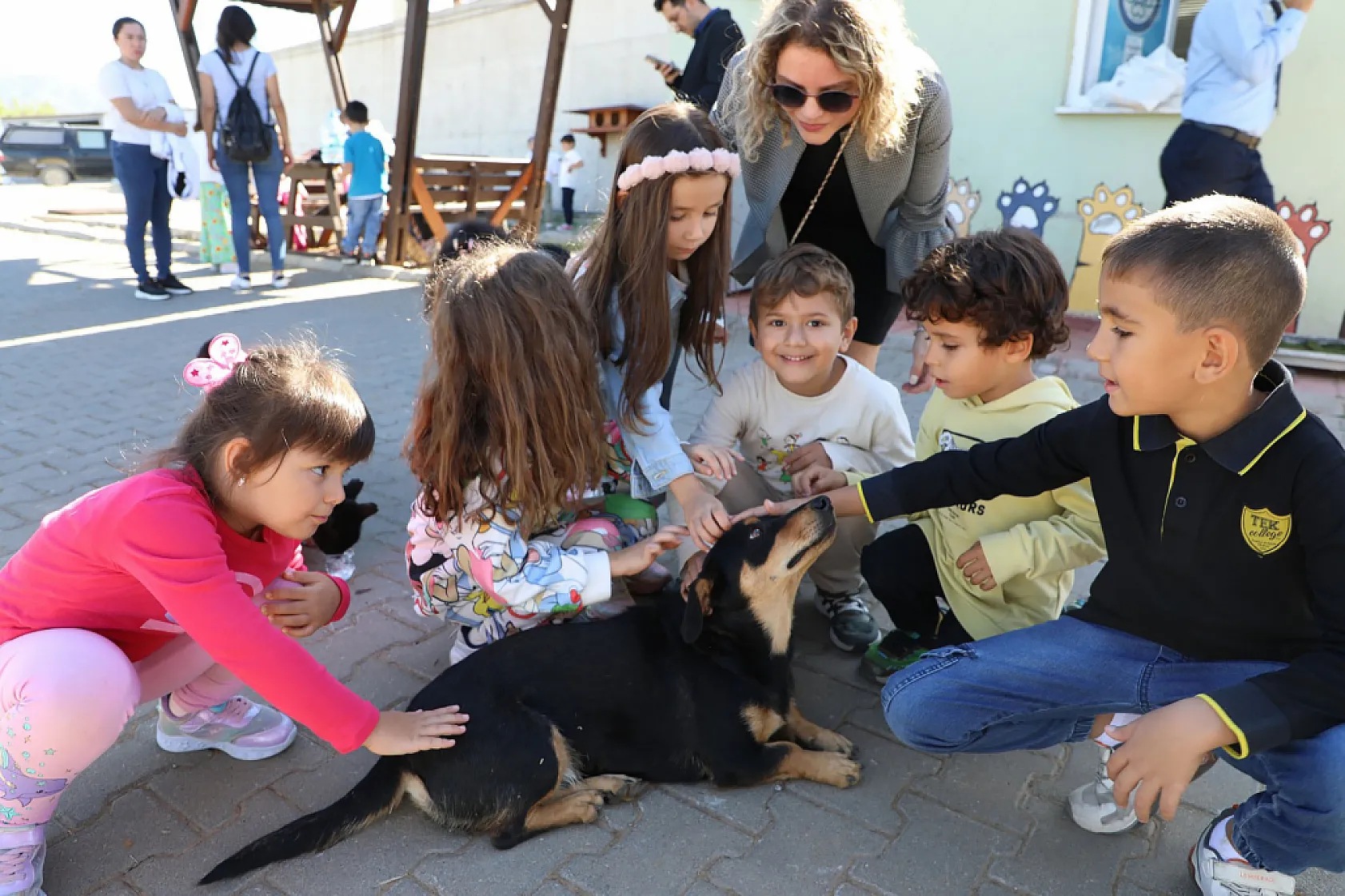 Muğla Büyükşehir 4 bin 34 can dostu sahiplendirdi