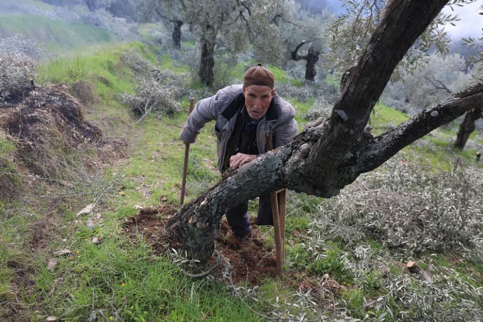 Tek ayağı ile hayata meydan okuyan 85 yaşındaki dedenin azmi görenleri şaşırtıyor