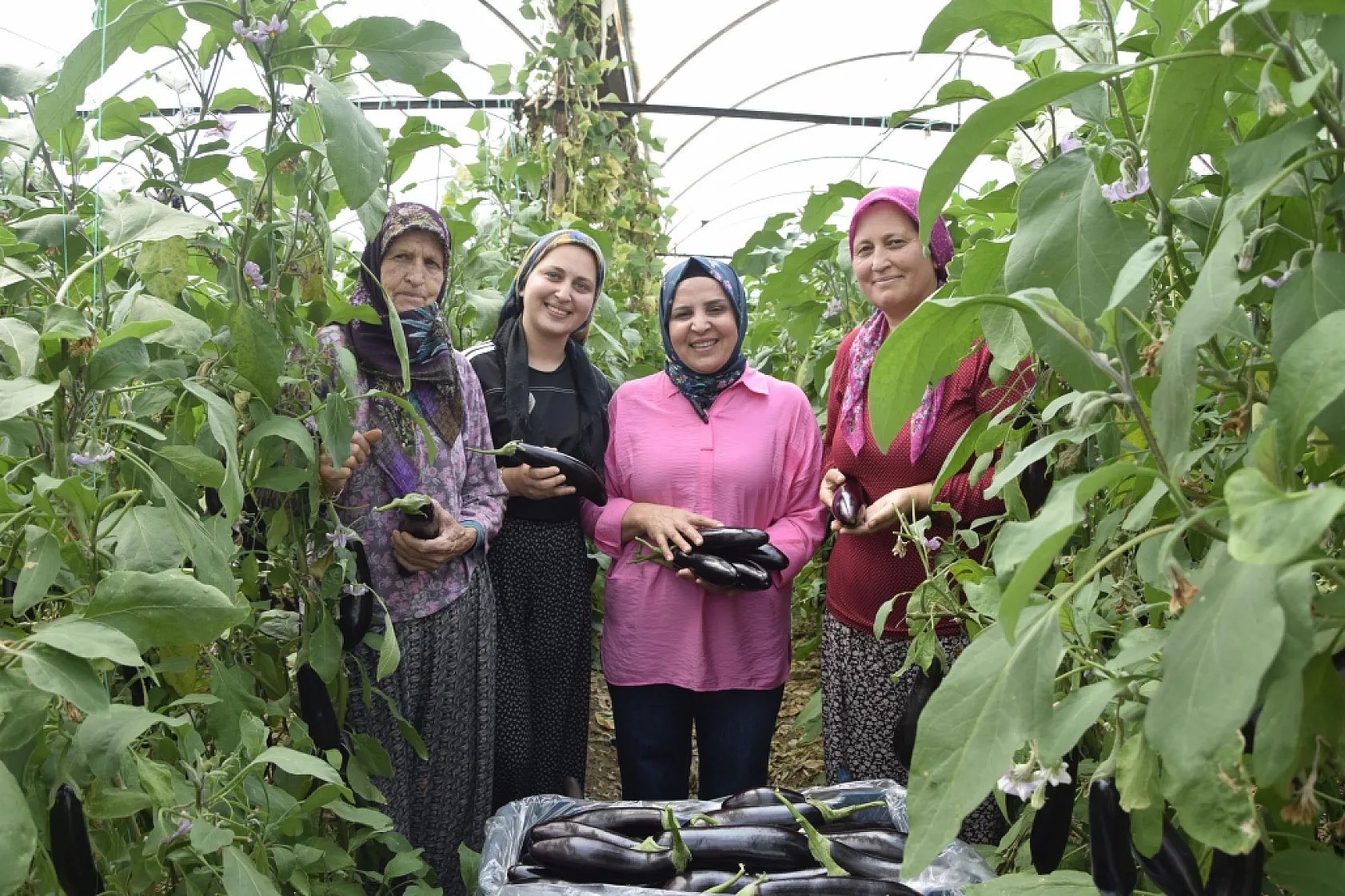 Üç kuşak kadın serada: Nineden toruna hem üretime hem aile ekonomisine katkı sağlıyorlar