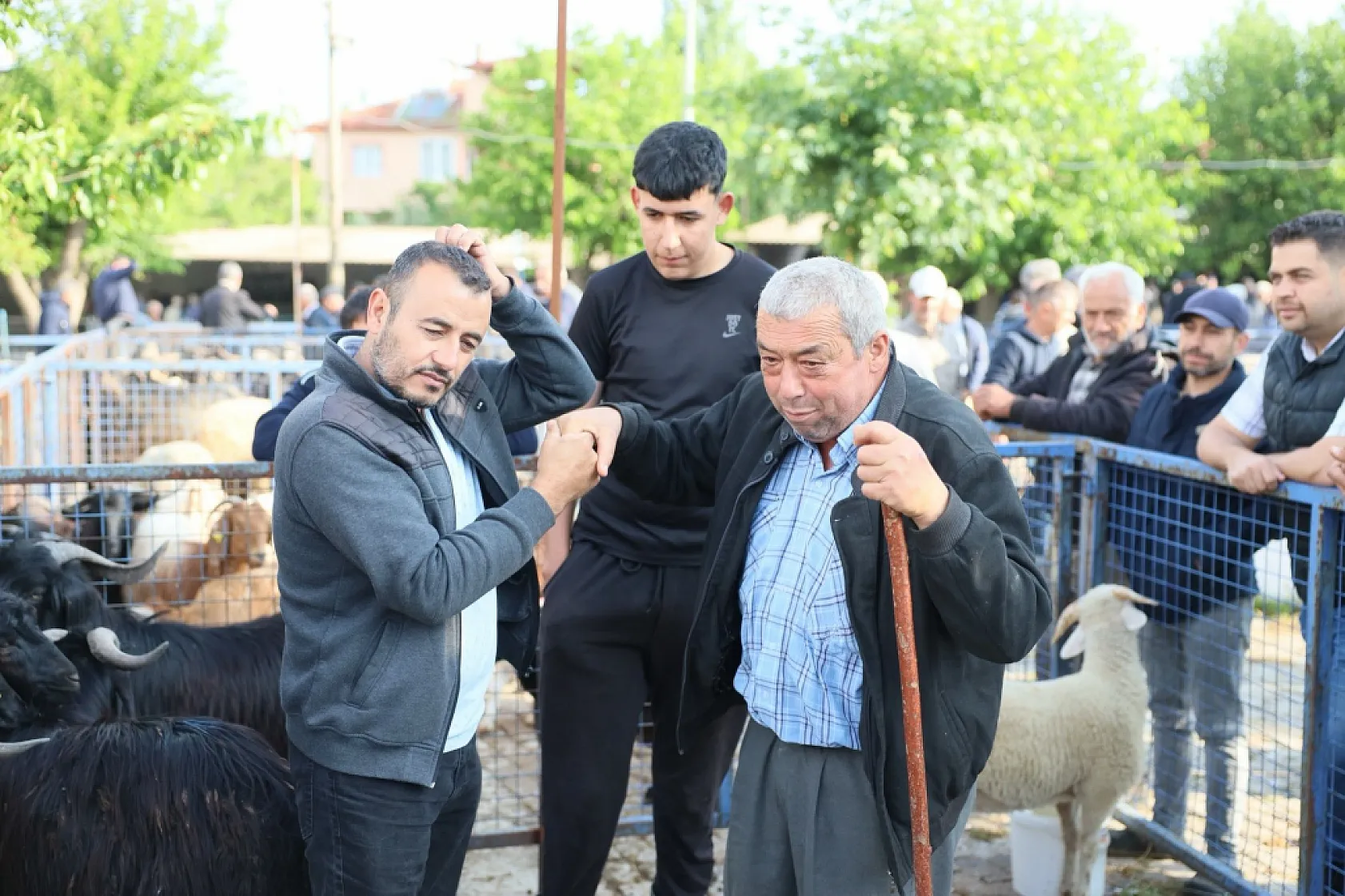 Muğla'da Kurban pazarlarında sıkı denetim