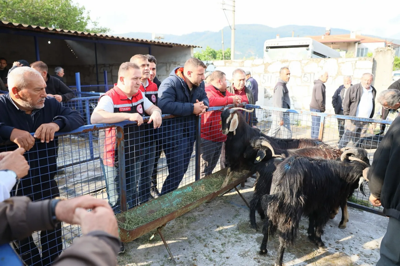 Muğla'da Kurban pazarlarında sıkı denetim