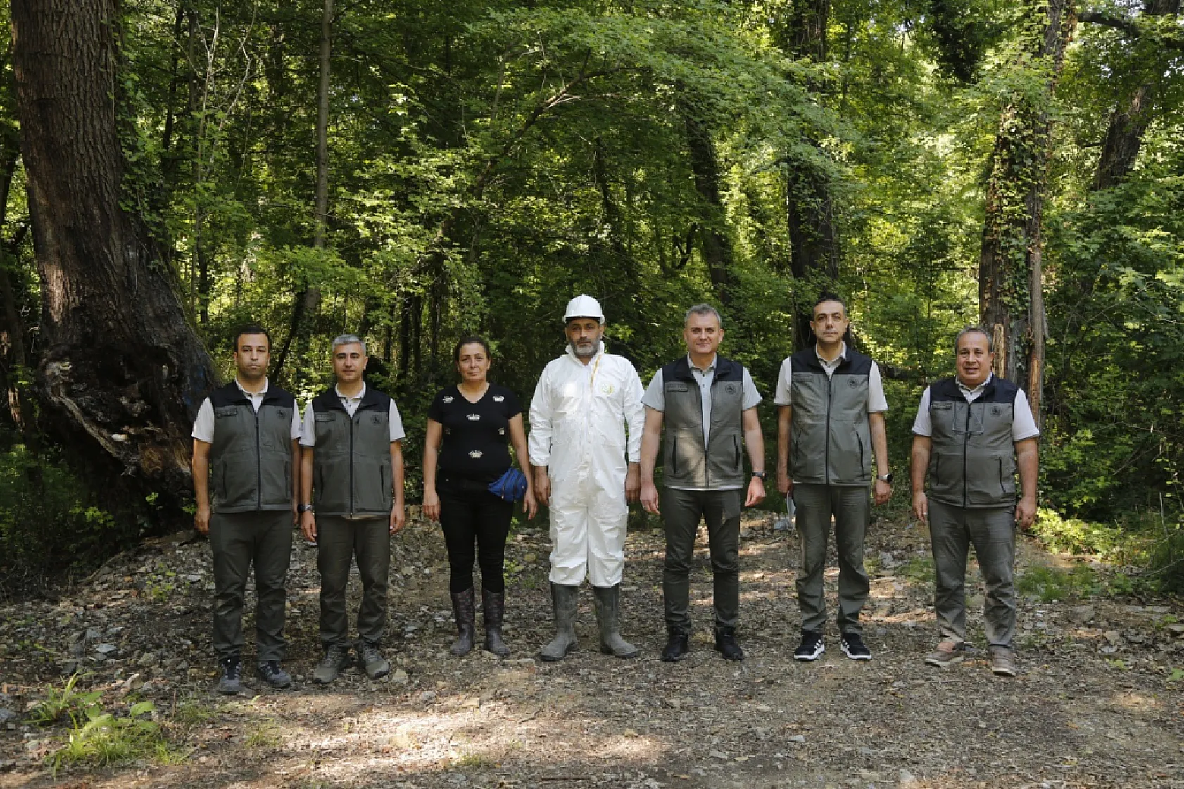 Muğla'daki Sığla ormanlarından 1 ton Sığla yağı üretimi bekleniyor