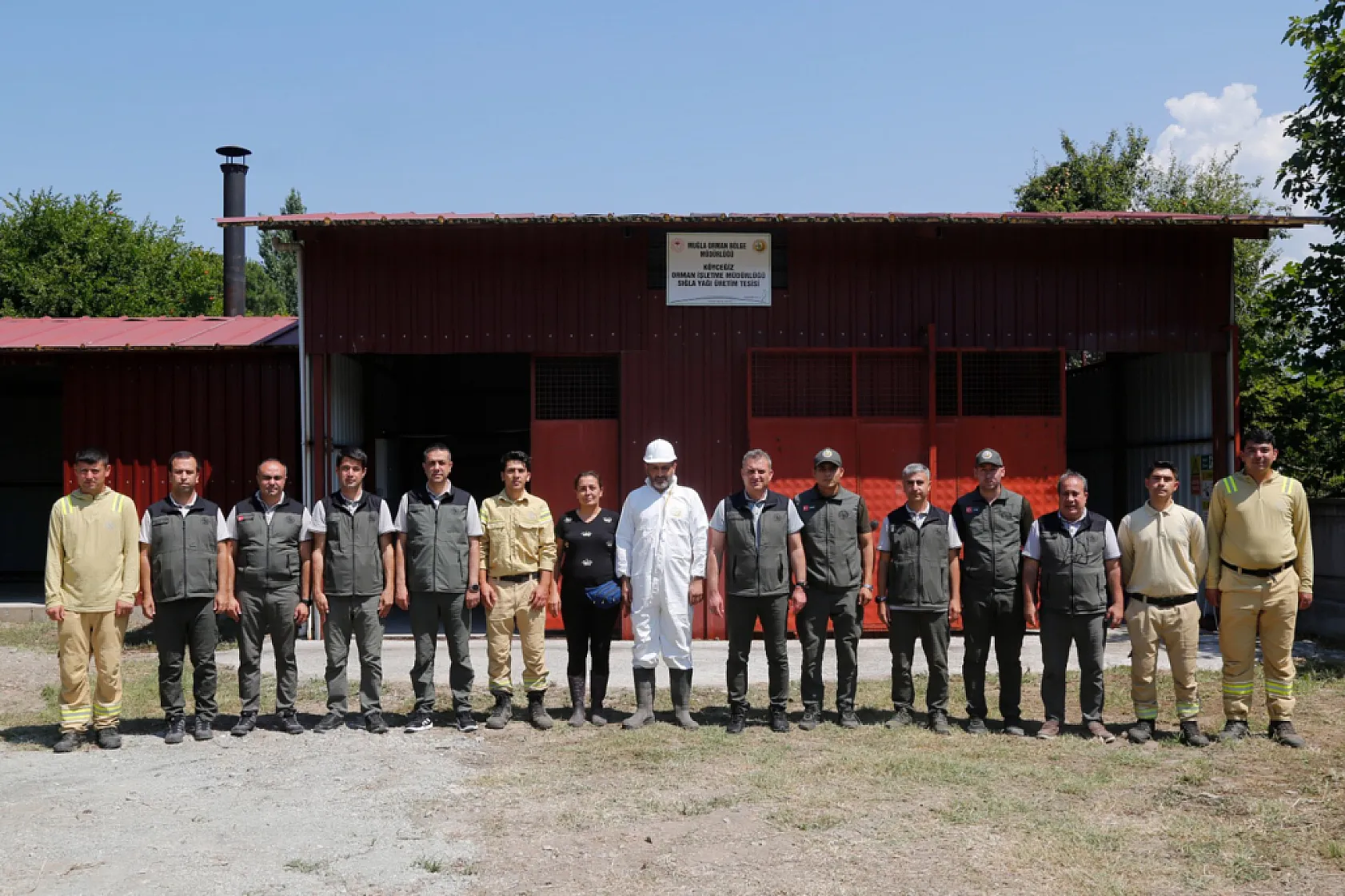 Muğla'daki Sığla ormanlarından 1 ton Sığla yağı üretimi bekleniyor