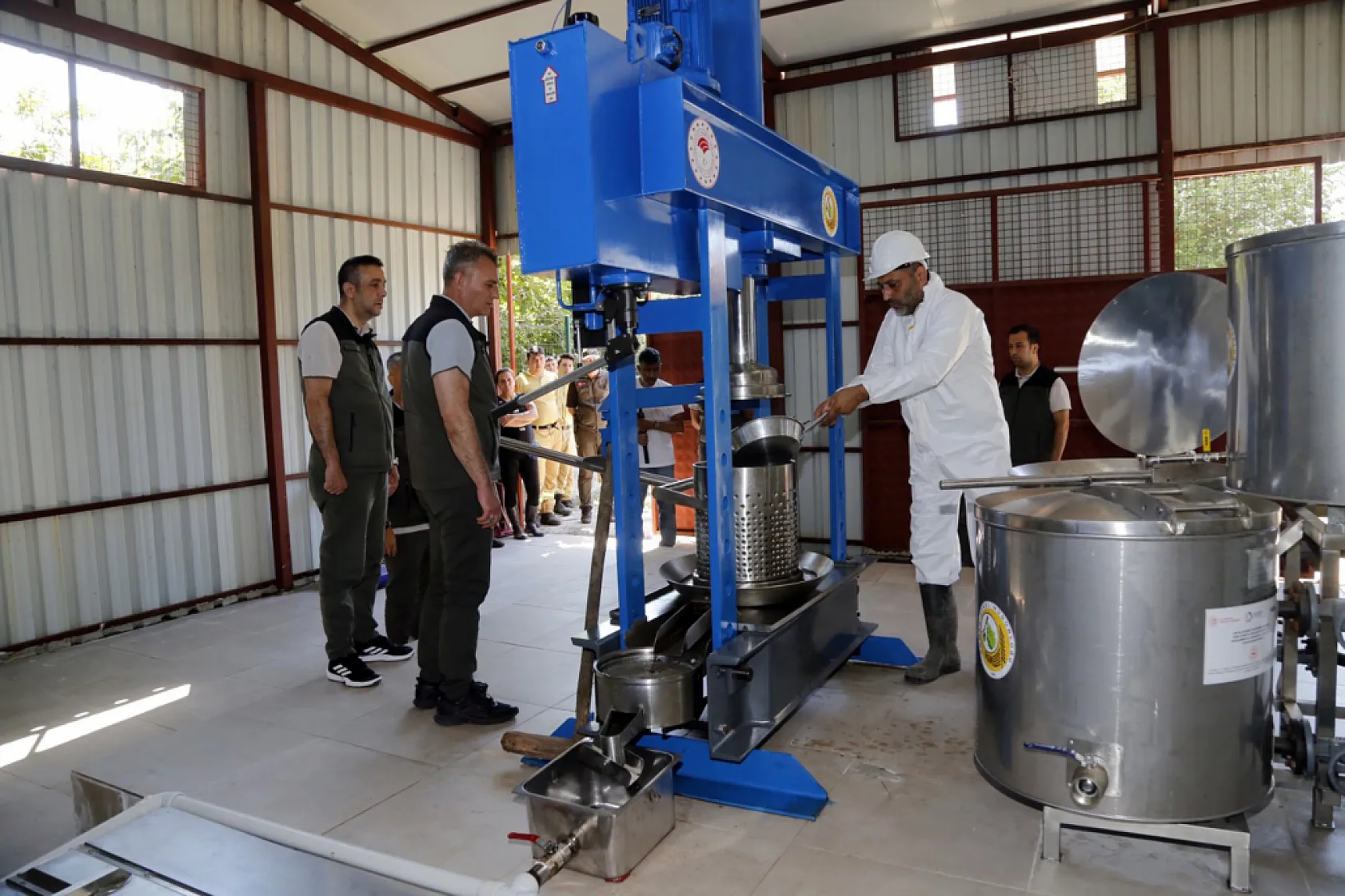 Muğla'daki Sığla ormanlarından 1 ton Sığla yağı üretimi bekleniyor