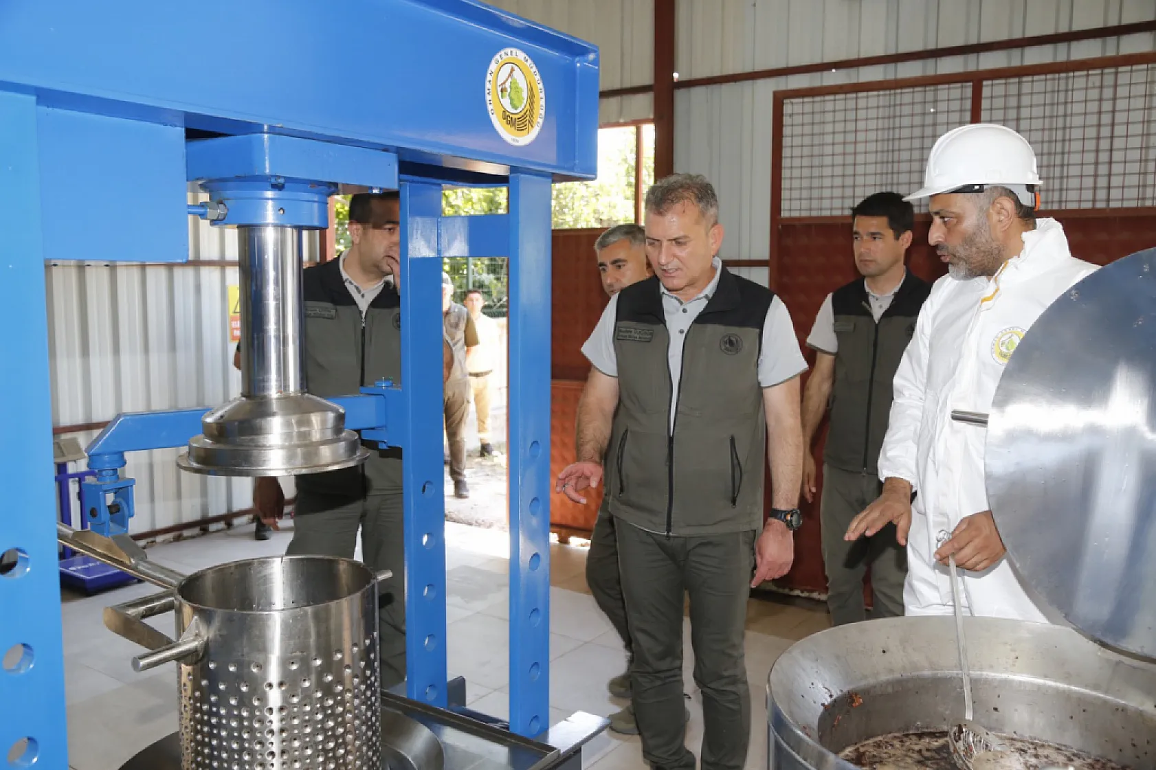 Muğla'daki Sığla ormanlarından 1 ton Sığla yağı üretimi bekleniyor