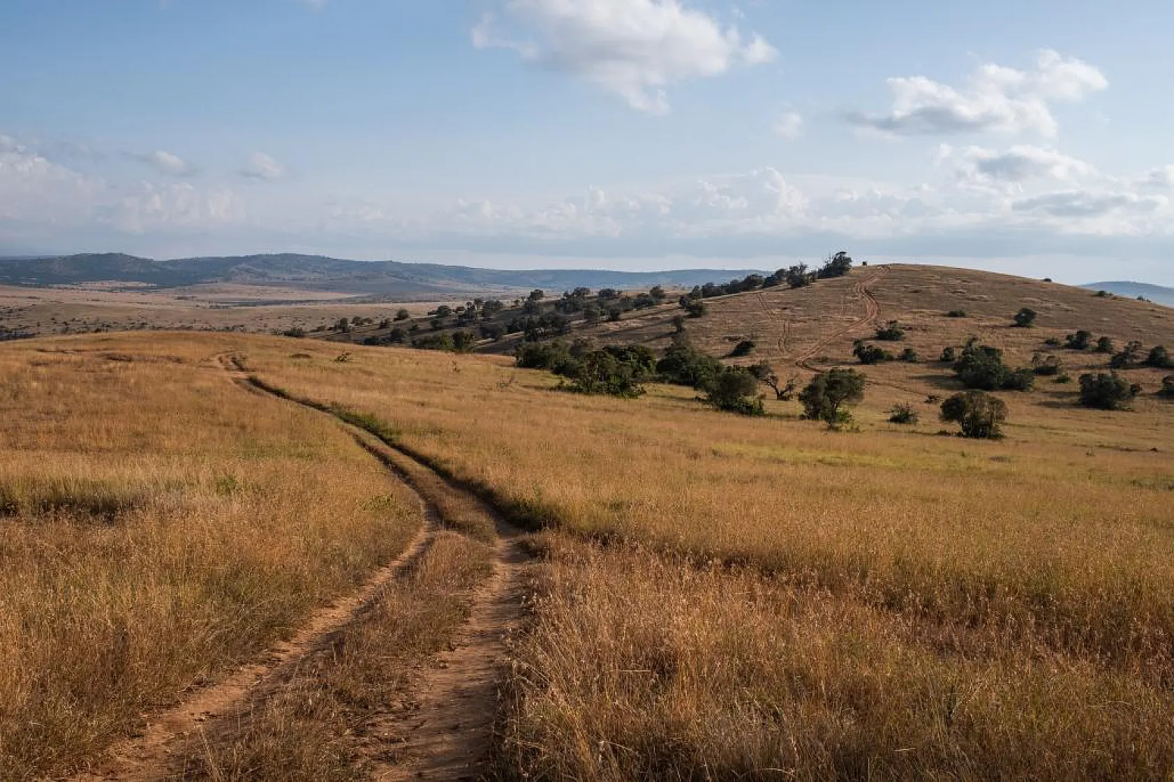 Arazi Tarla Arsa Alırken Nelere Dikkat Edilmeli?