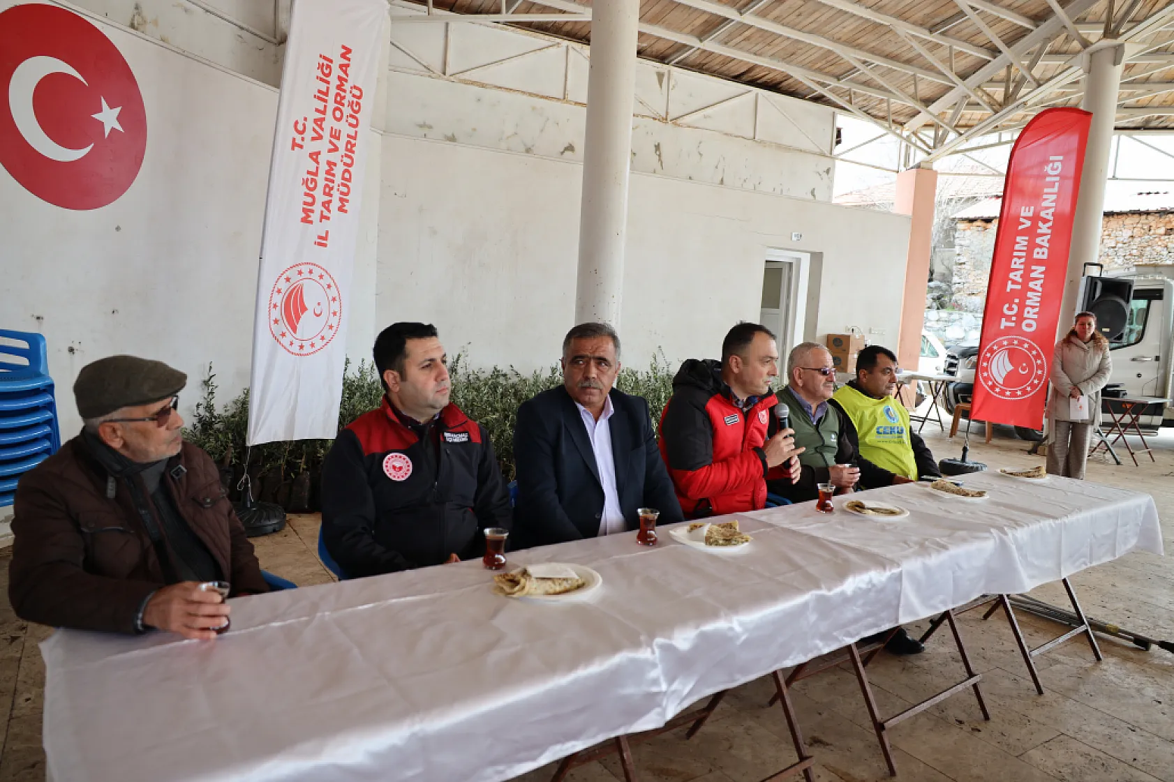 Muğla'da Yangından Zarar Gören Alanlara Zeytin Fidanı Umudu
