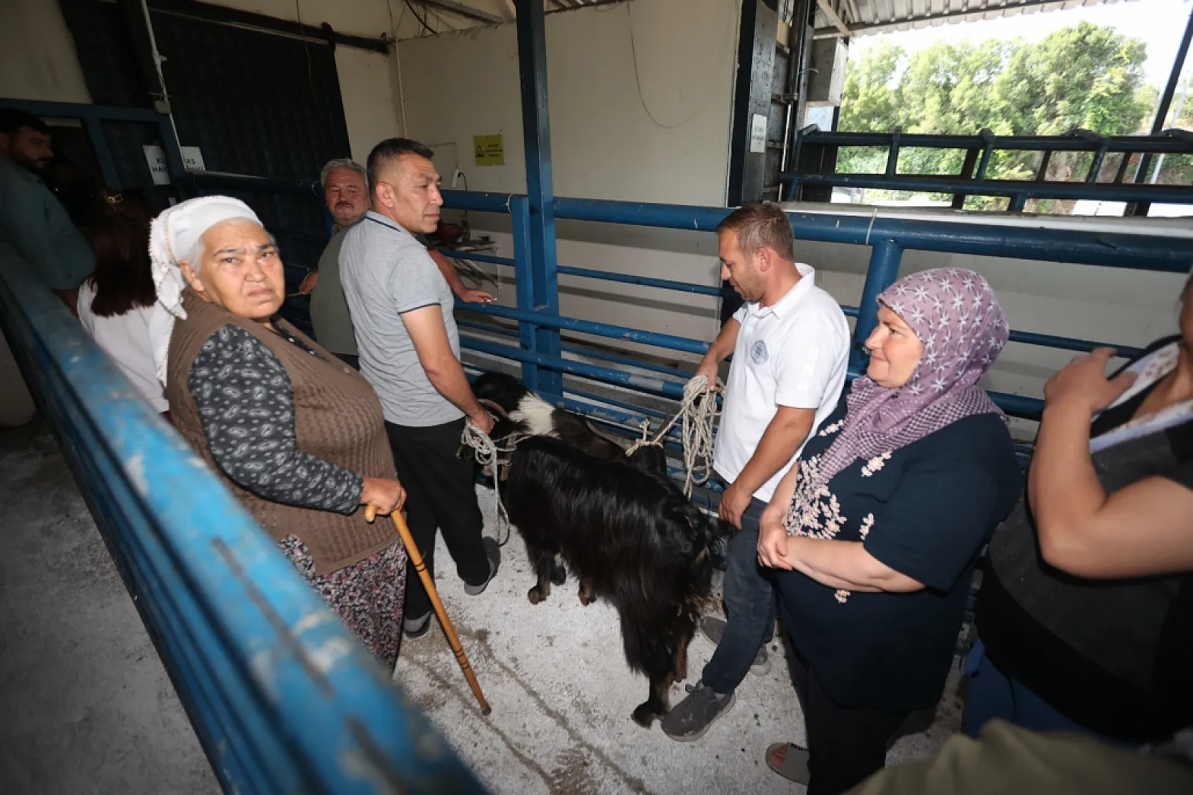 Büyükşehir mezbahaları bayramda tam kapasite çalıştı