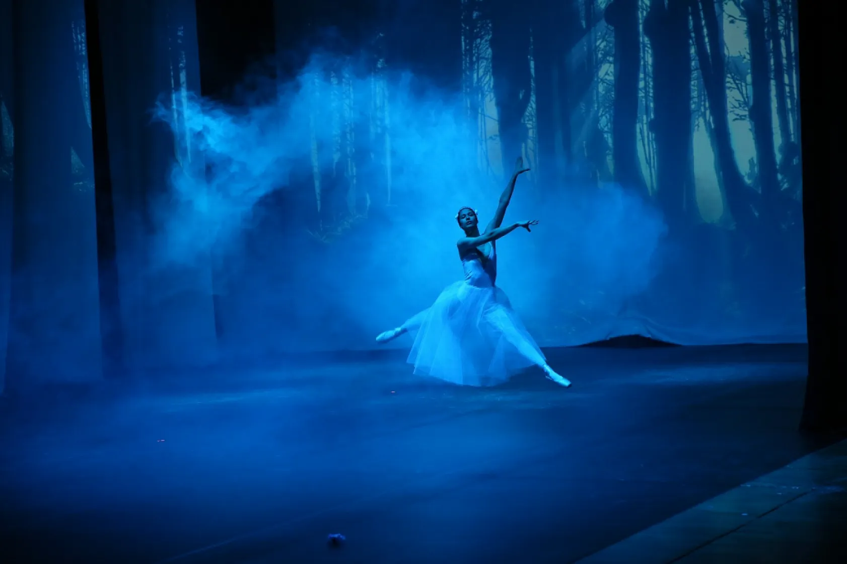 Büyükşehir Bale Öğrencilerinden Yıl Sonu Resitali