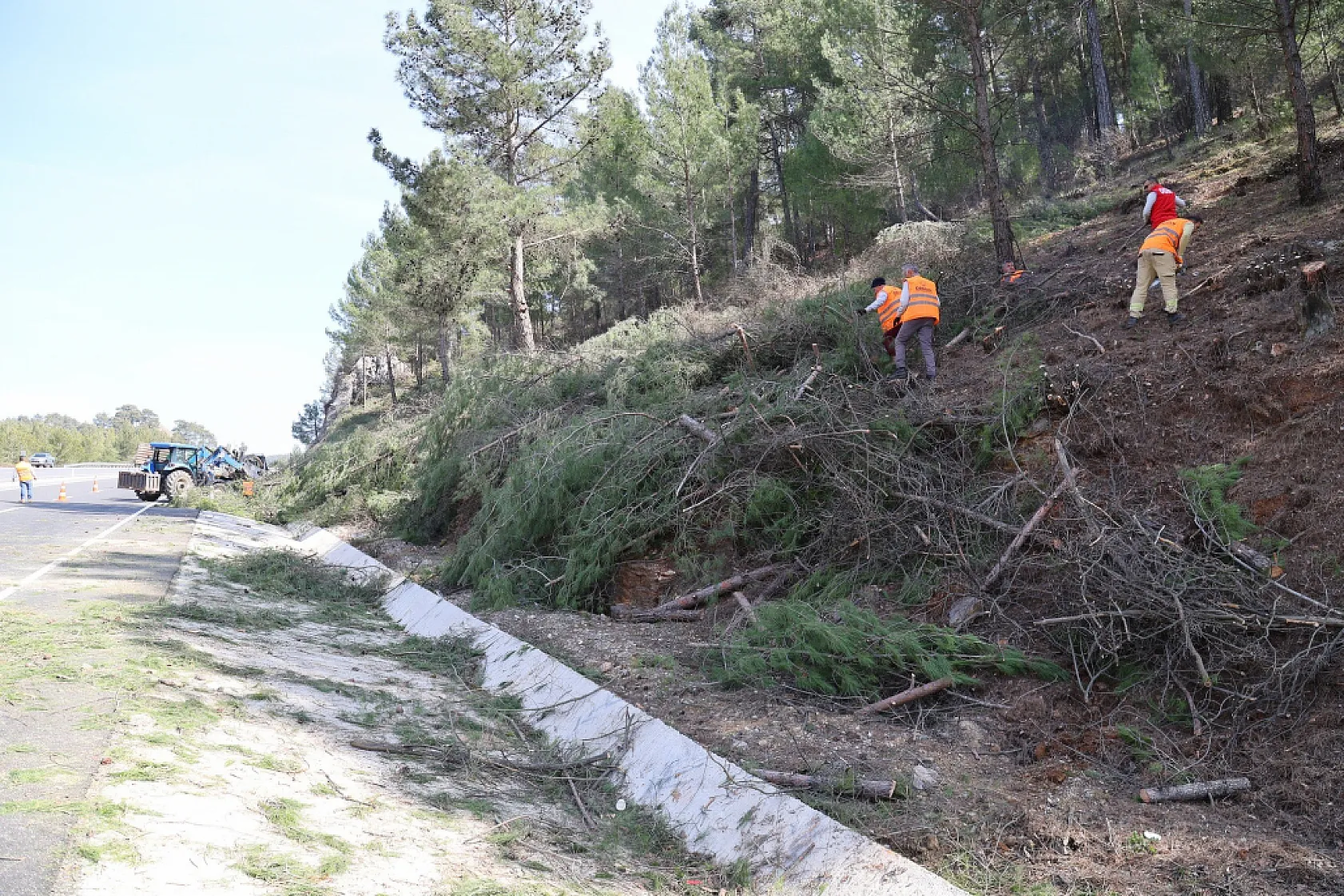 Muğla'da orman yangınlarına karşı 'Yeşil Kalkan'