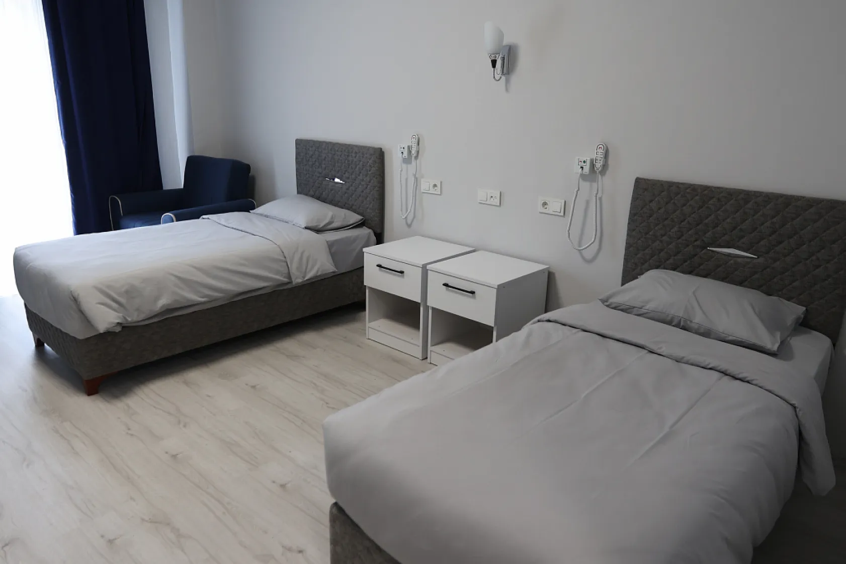 Muğla'da Yaş Almış Çınarlara Yeni Bir Yuva: Başvurular Başladı