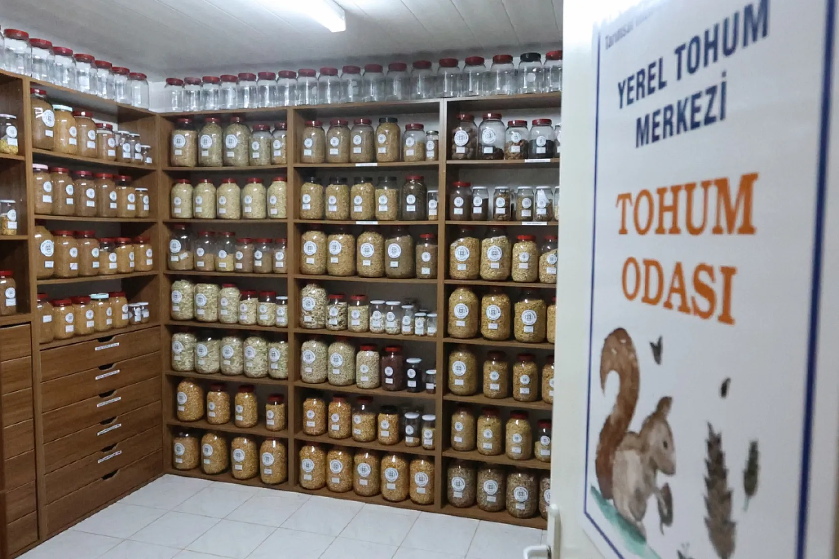 Muğla'nın Ata Tohumları Ülke Toprakları ile Buluşmaya Devam Ediyor