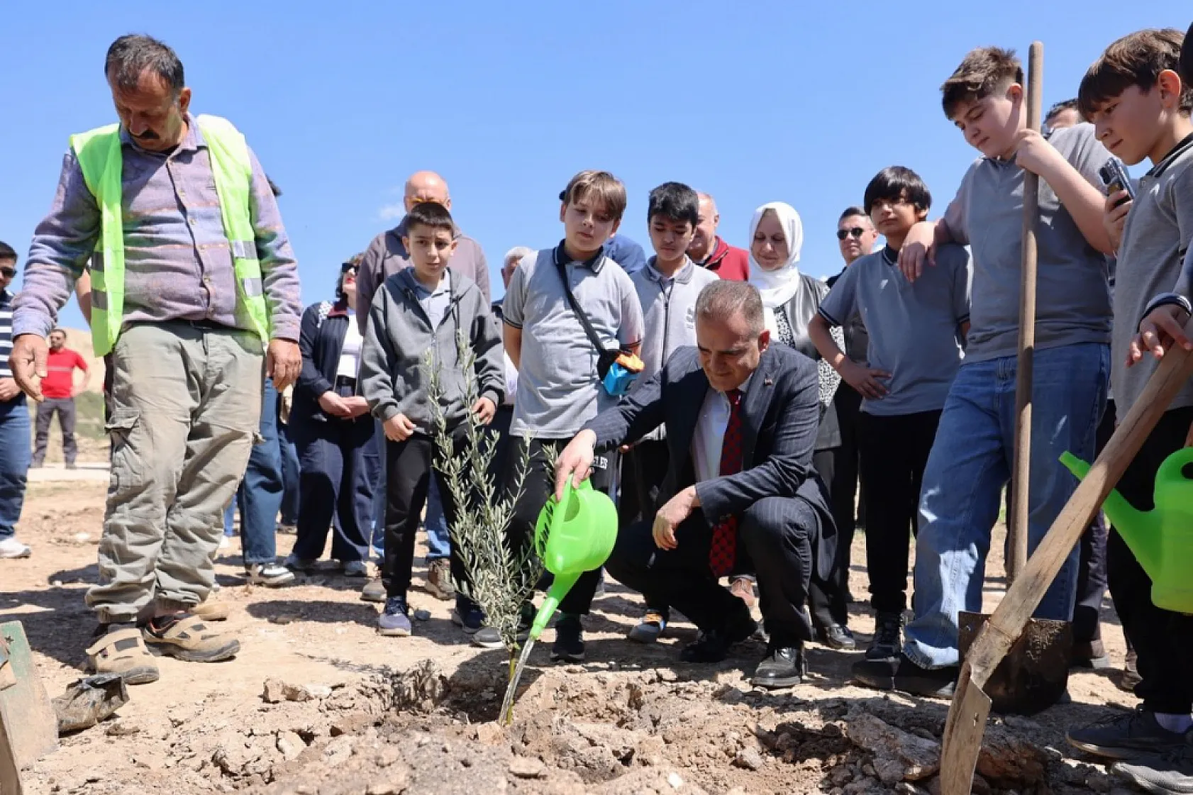 Taşınan her zeytin ağacına karşılık fidan: Milas'ta 4 bin zeytin toprakla buluştu