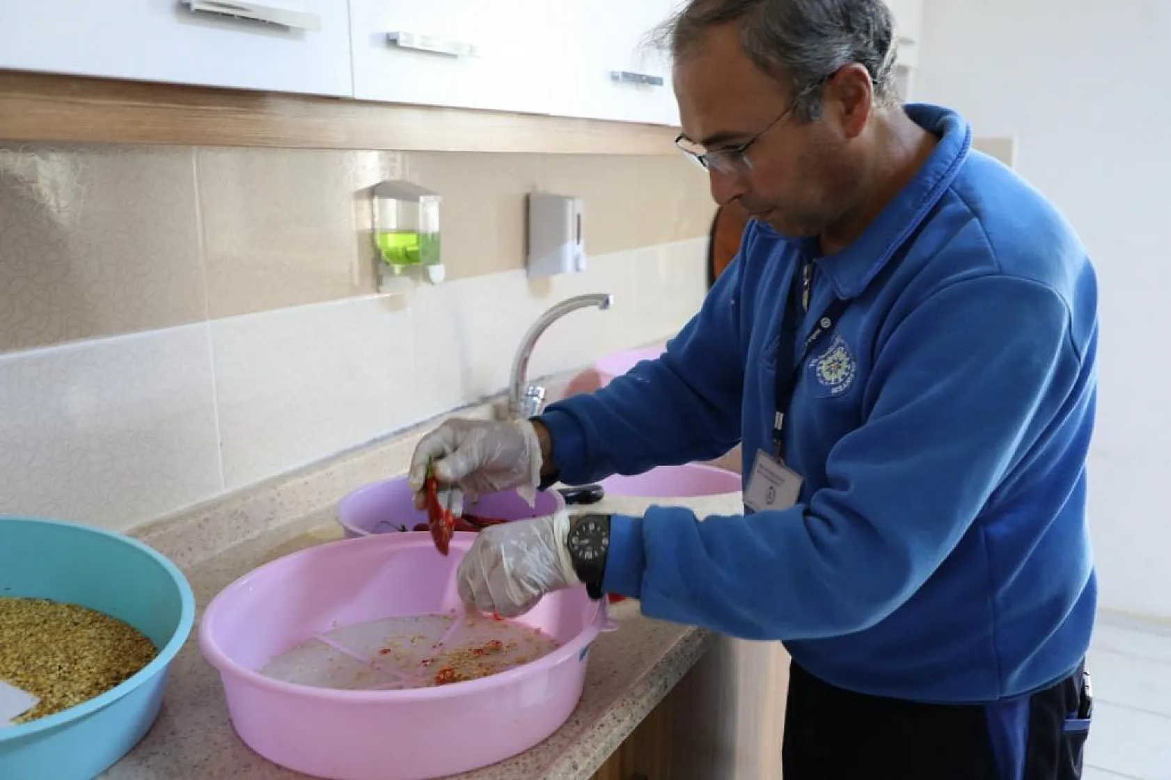 1 Milyon Yerel Tohum Dağıtılacak