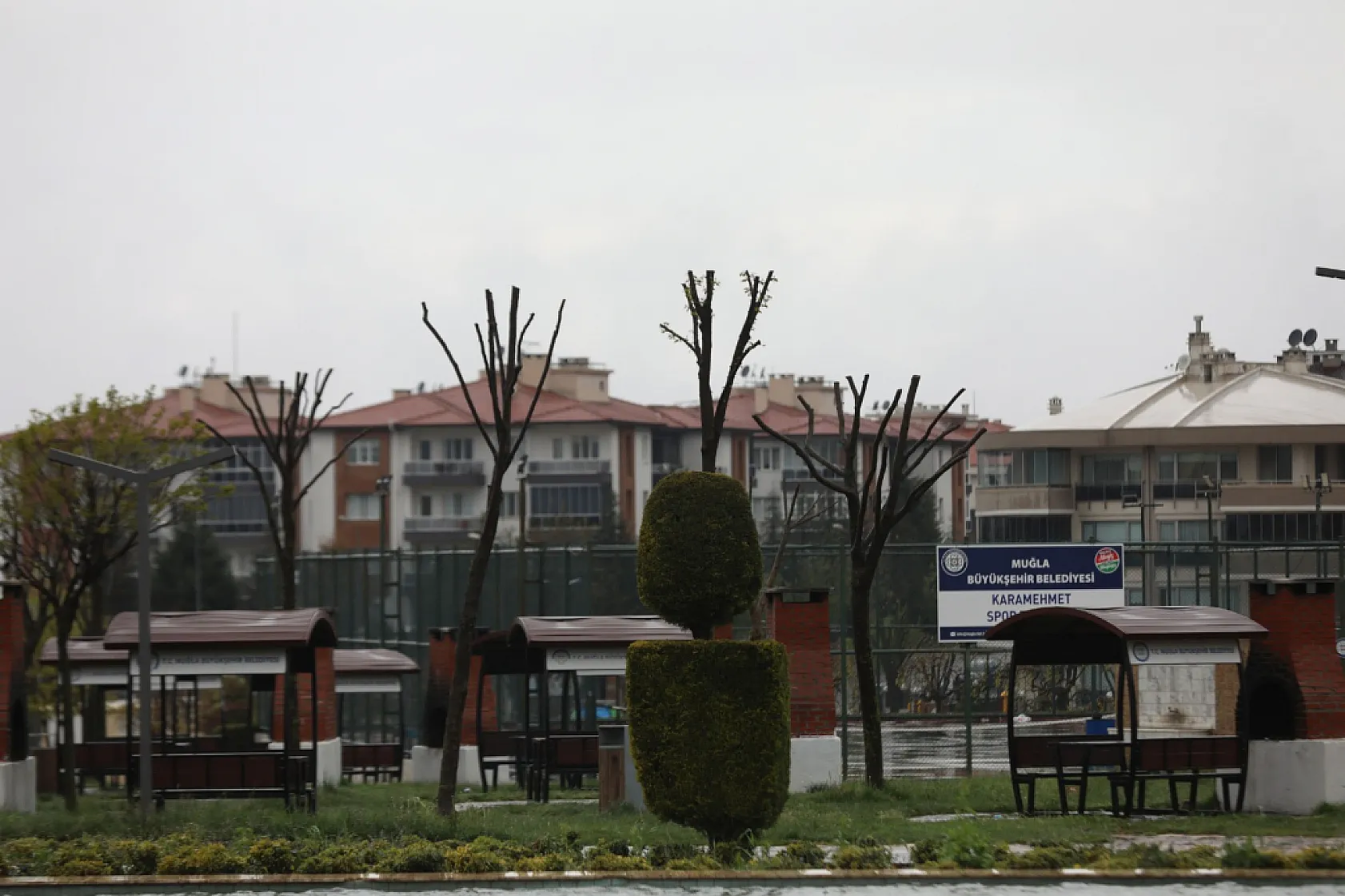 Muğla'da Ağaçlara Gençlik Aşısı: Hem Doğa Hem Güvenlik İçin Budama