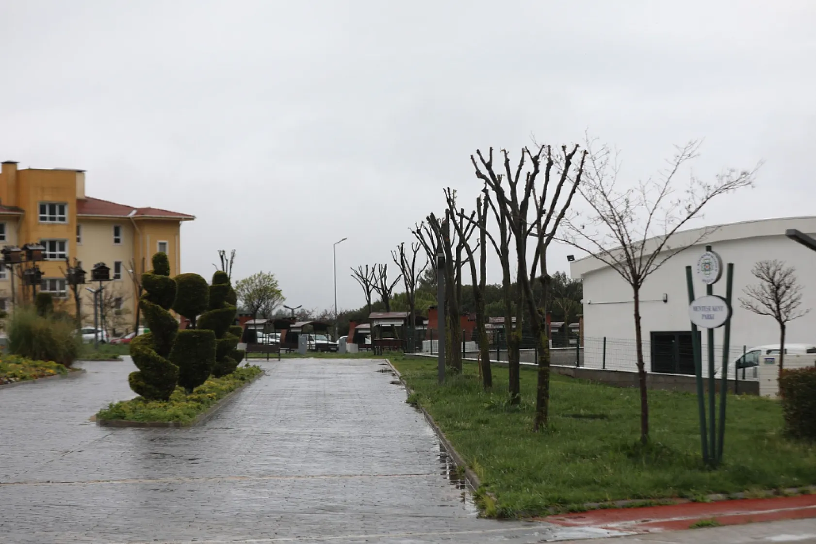 Muğla'da Ağaçlara Gençlik Aşısı: Hem Doğa Hem Güvenlik İçin Budama