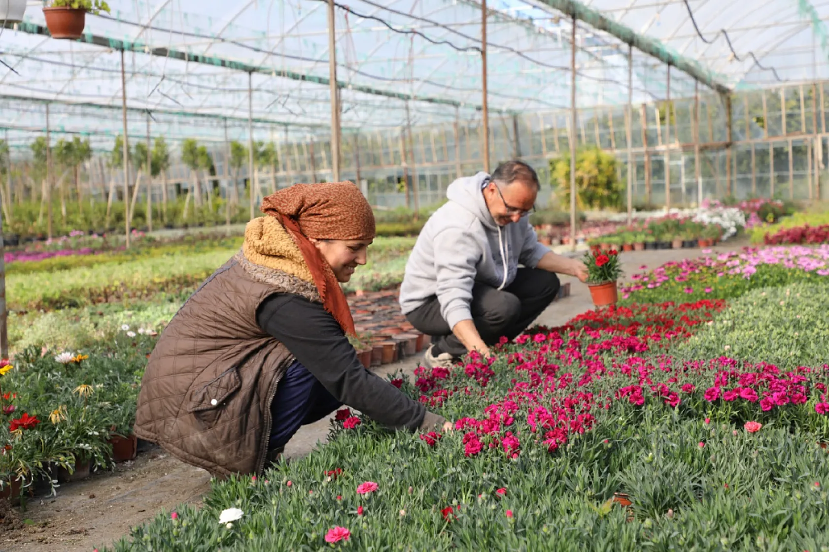 Muğla Büyükşehir'den Kadın Emeğine Destek: 27 Milyon Çiçek Üretildi