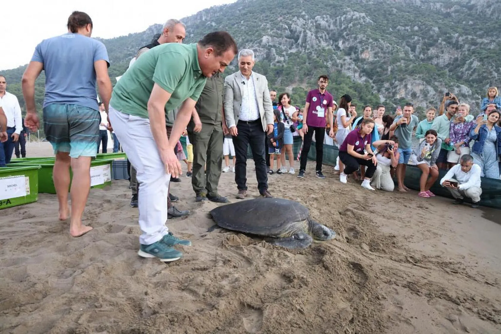 Vali Akbıyık, Deniz Kaplumbağalarını Denize Bıraktı