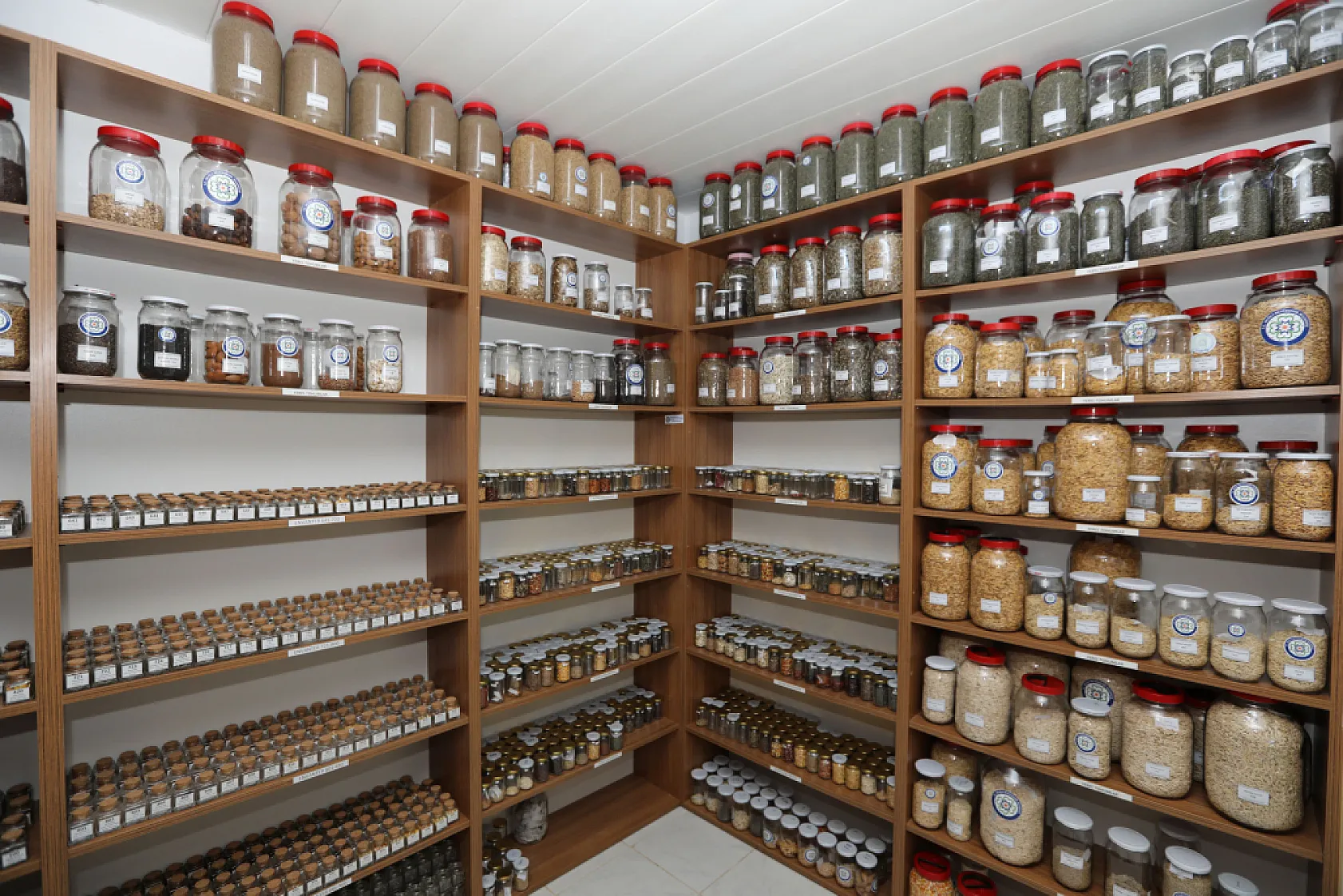 Büyükşehir'in yerel tohum dağıtımı 21 milyona ulaşacak