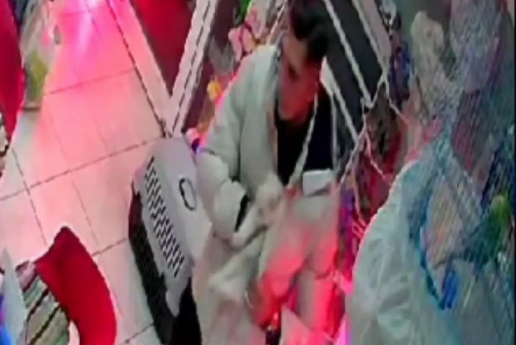 Şaşırtan hırsızlık: Cins kediyi montunun içine gizleyip çaldı