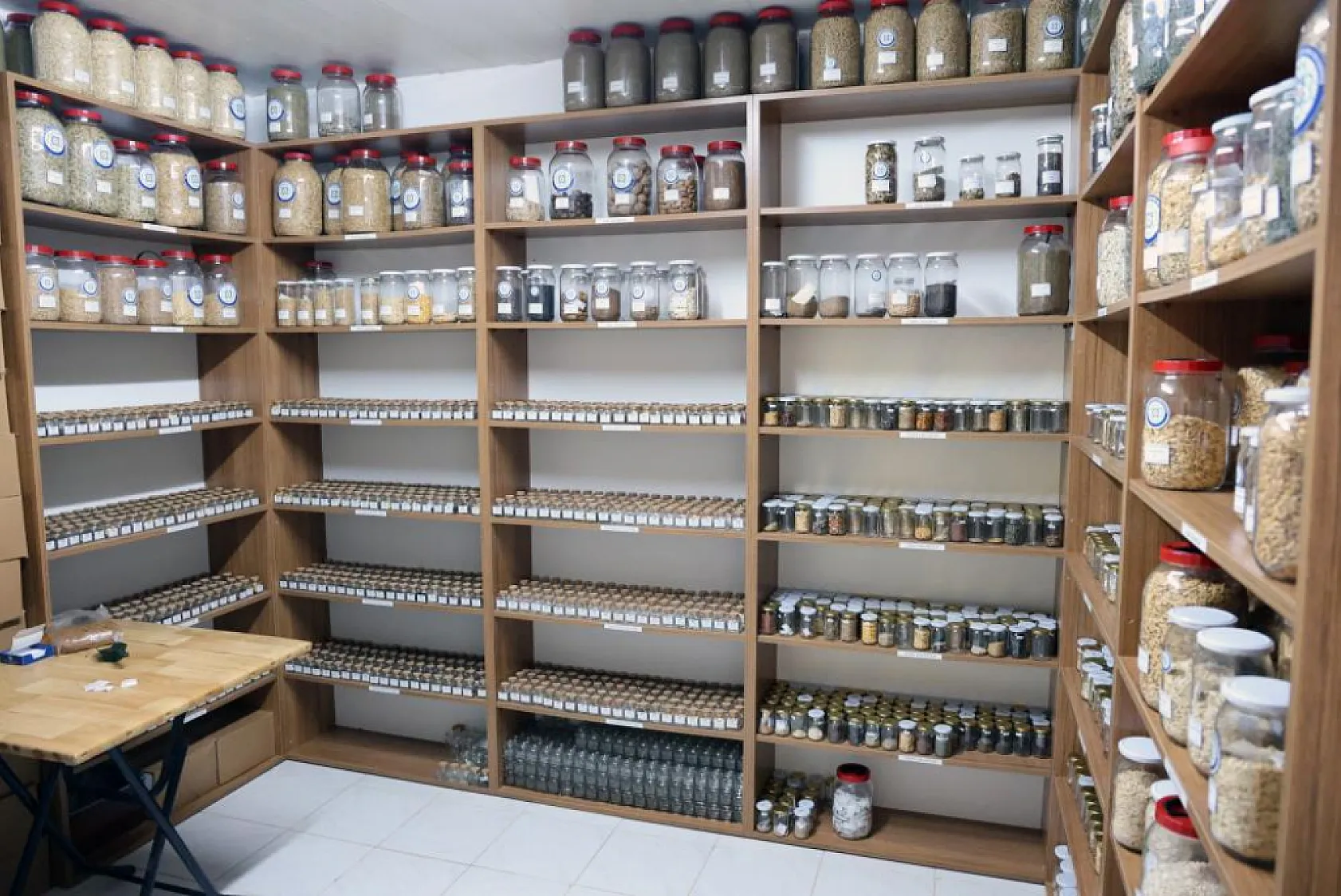 Muğla Büyükşehir, 2025 yılında 3 milyon ata tohumu dağıttı