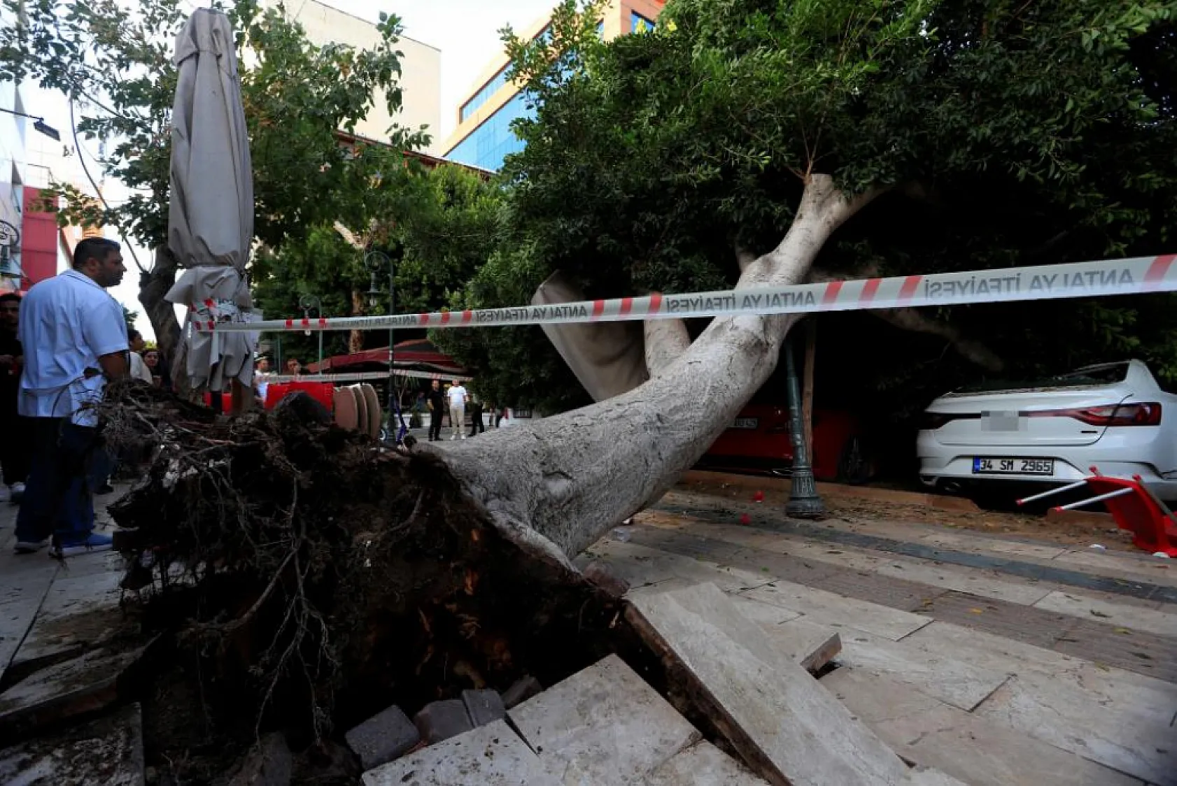 Devrilen ağaç 5 araca zarar verdi: Bir kişi son anda kurtuldu