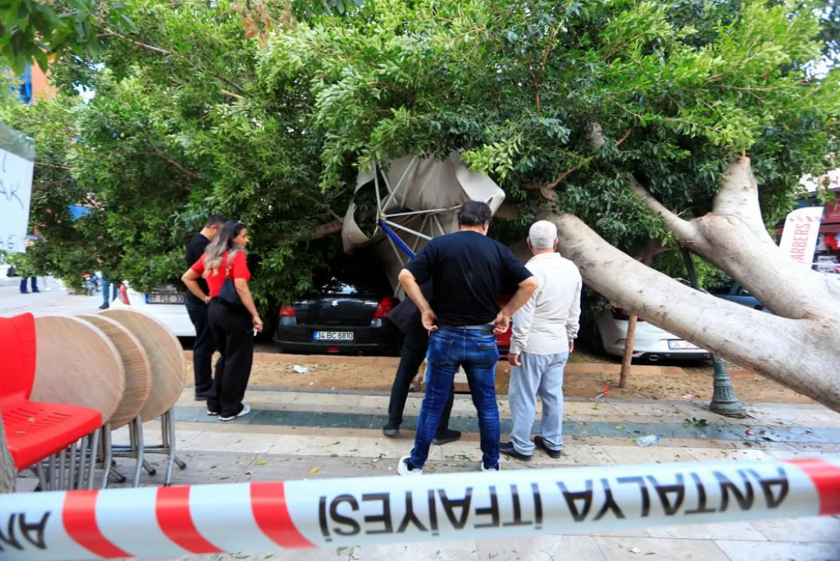 Devrilen ağaç 5 araca zarar verdi: Bir kişi son anda kurtuldu
