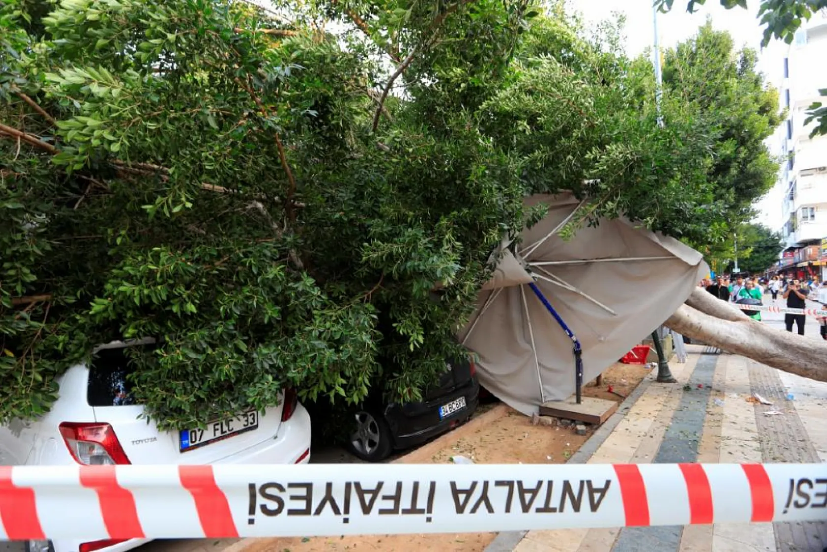 Devrilen ağaç 5 araca zarar verdi: Bir kişi son anda kurtuldu