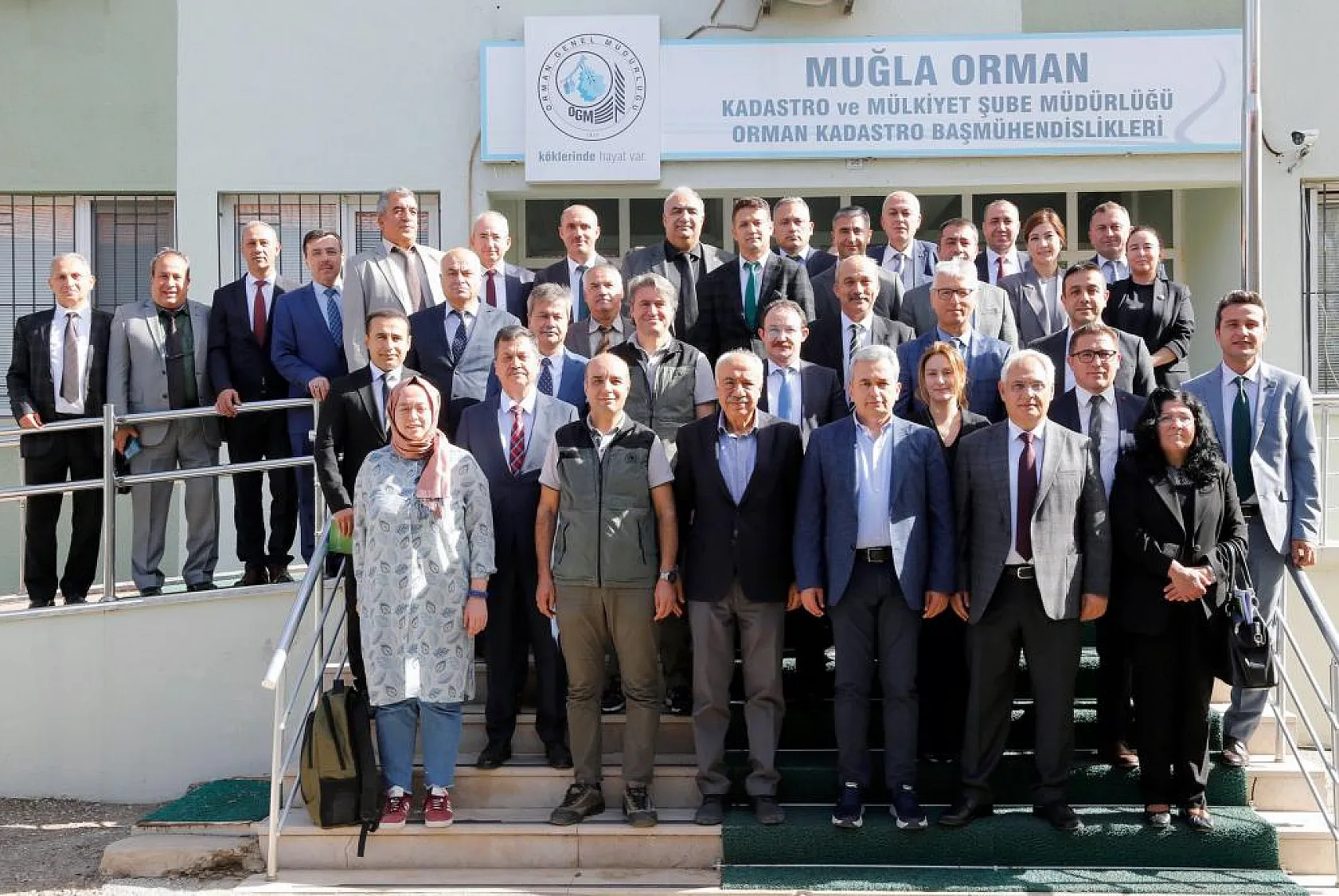 Milyon dolarlık ormancılık projesi