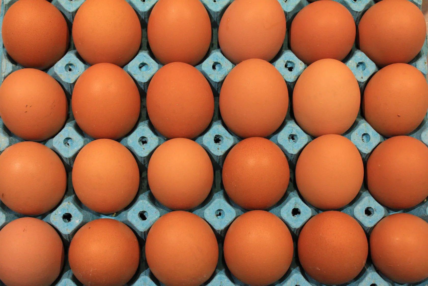 Yumurta üretimi 6 ayda 330 milyon adet azaldı