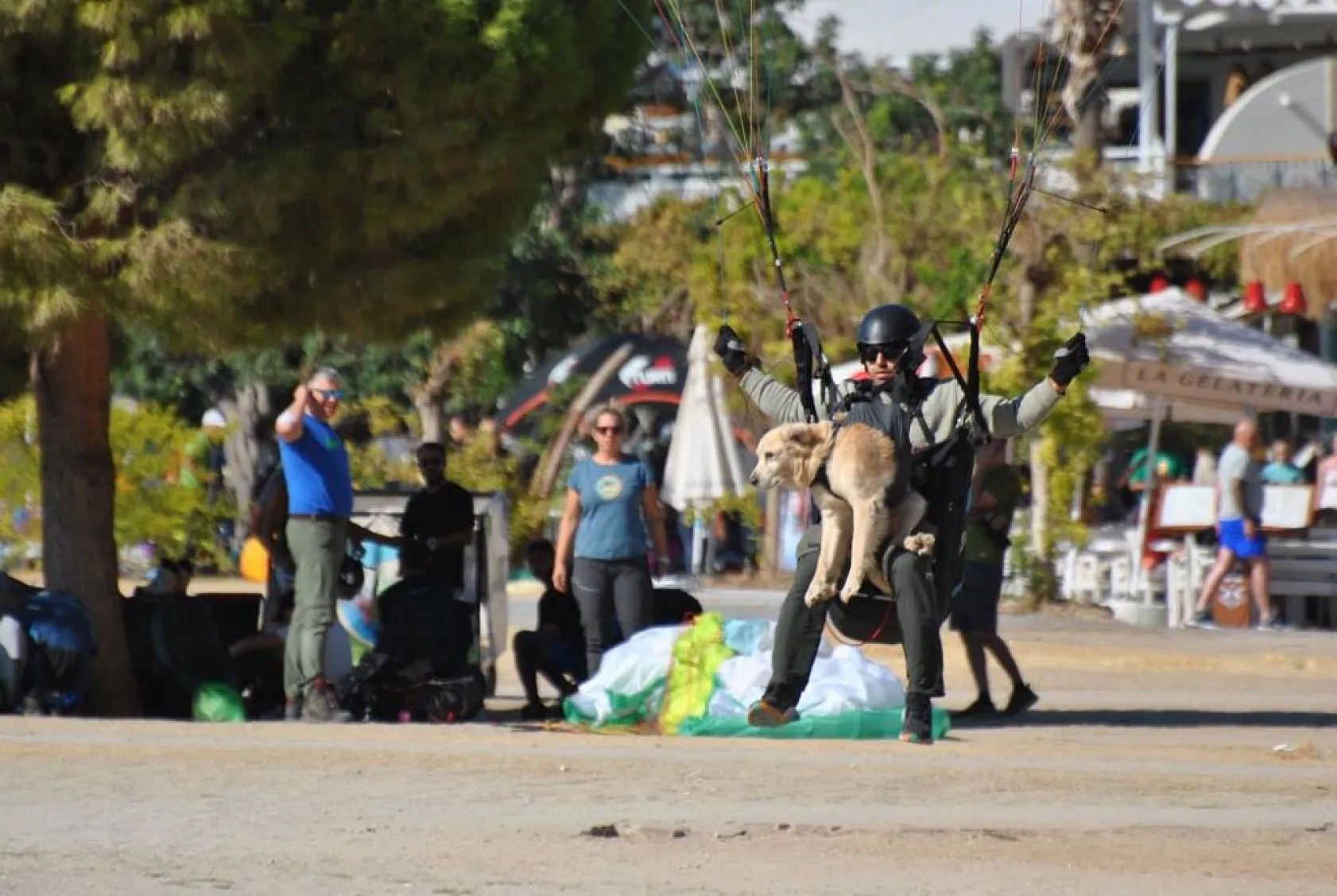 Fethiye'de köpeğiyle birlikte bin 700 metreden atladı