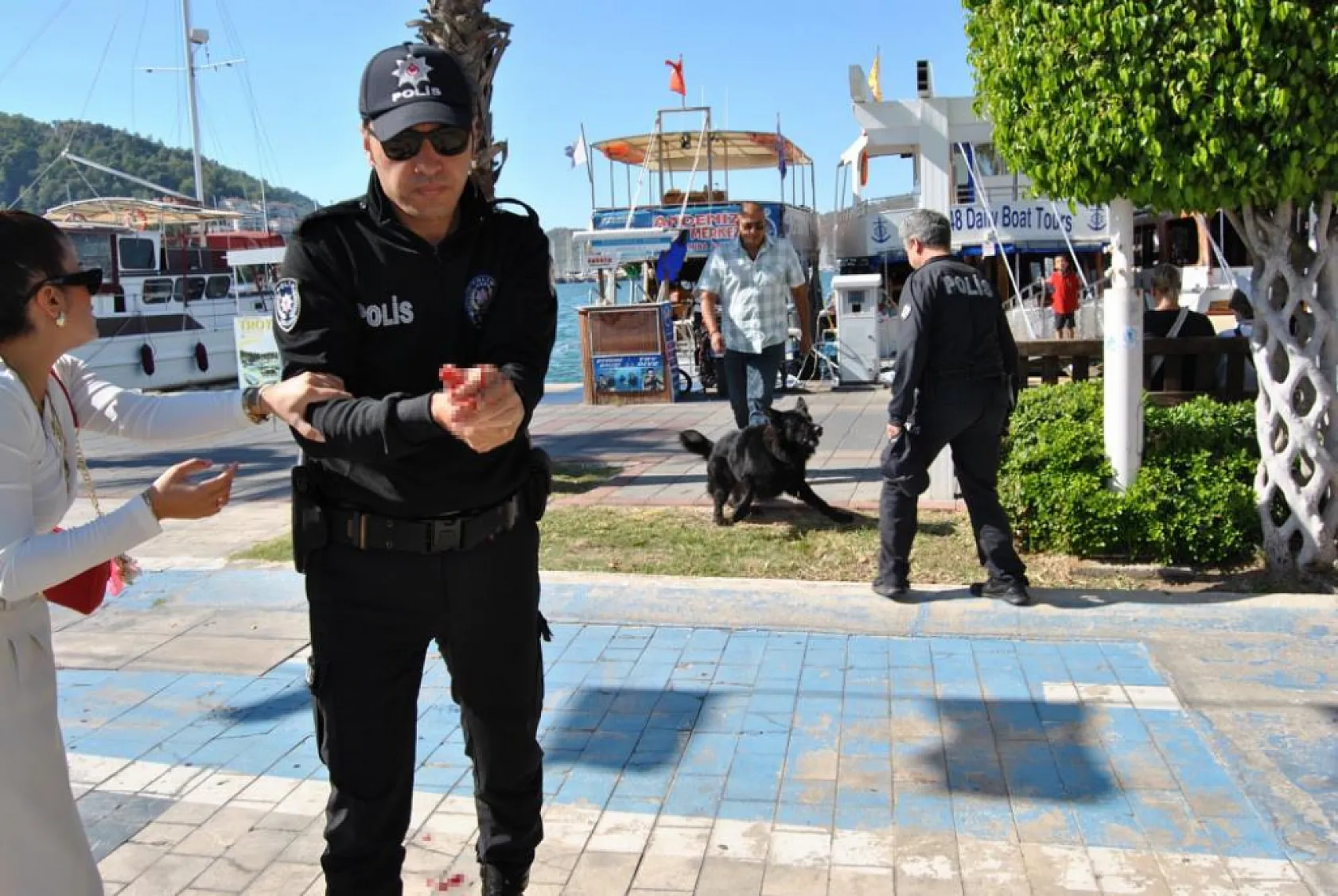 Fethiye'de kurt köpeğinin polislere saldırı anının görüntüleri ortaya çıktı