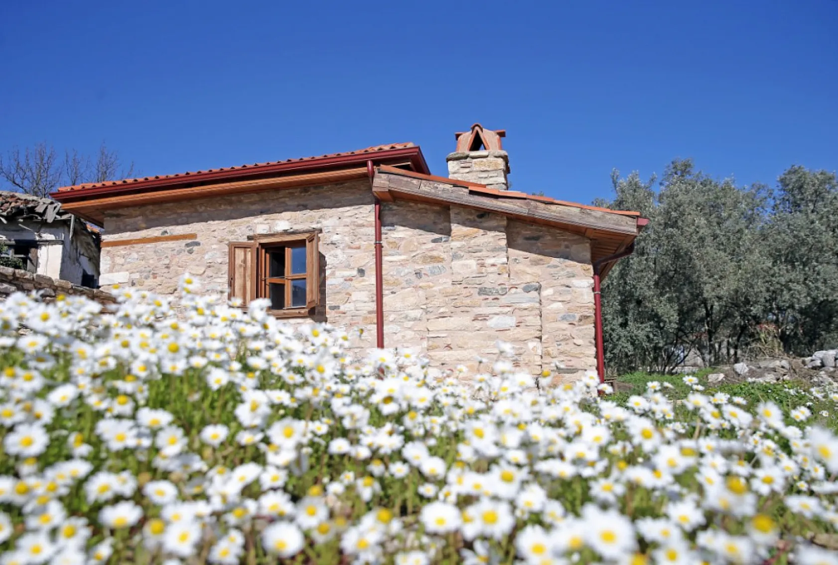 Muğla Stratonikeia'da Köy Meydanı Restore Ediliyor, Dükkanlar Eski İsimleriyle Açılacak