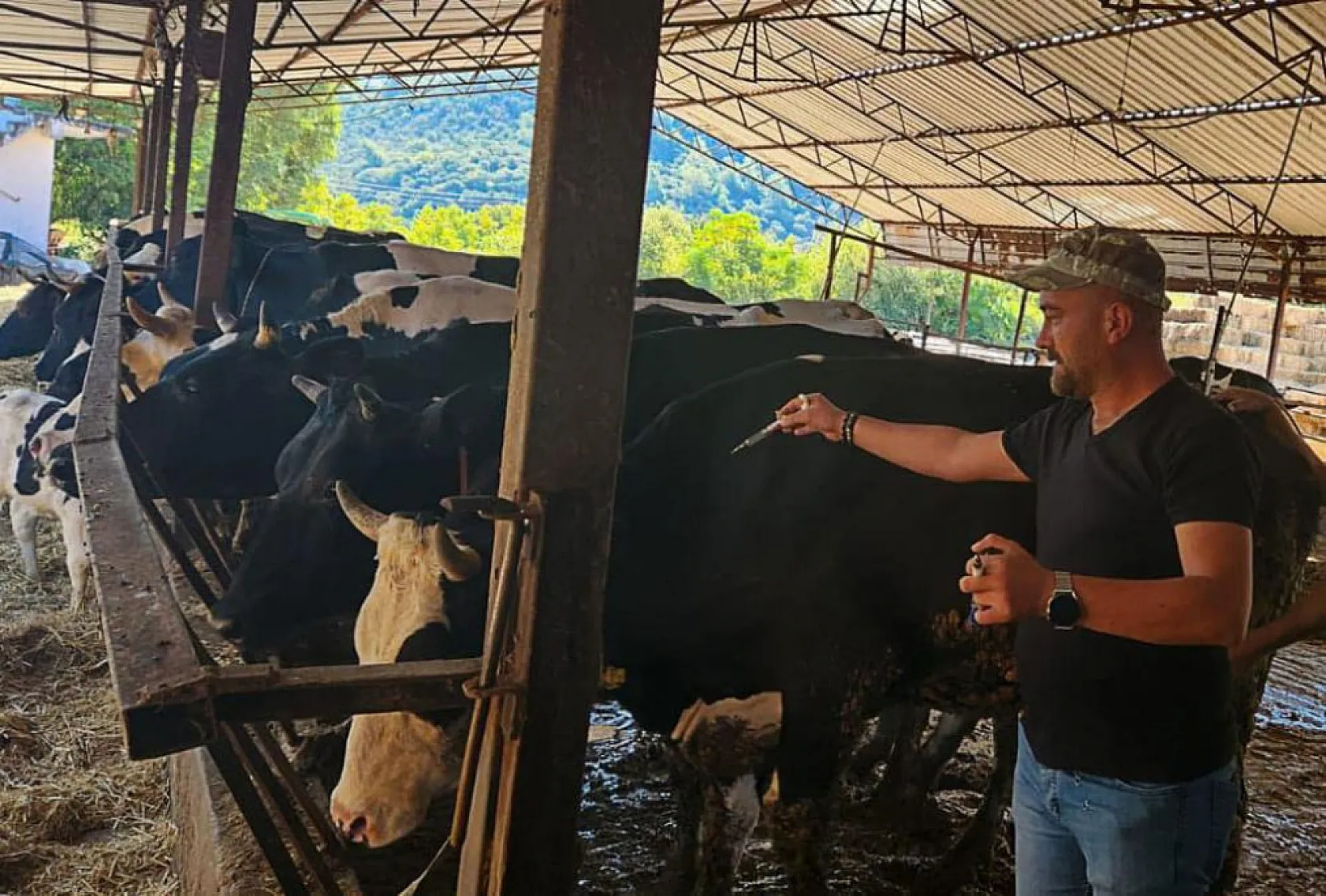 Ortaca'da hayvan sağlığı çalışmaları hızla devam ediyor